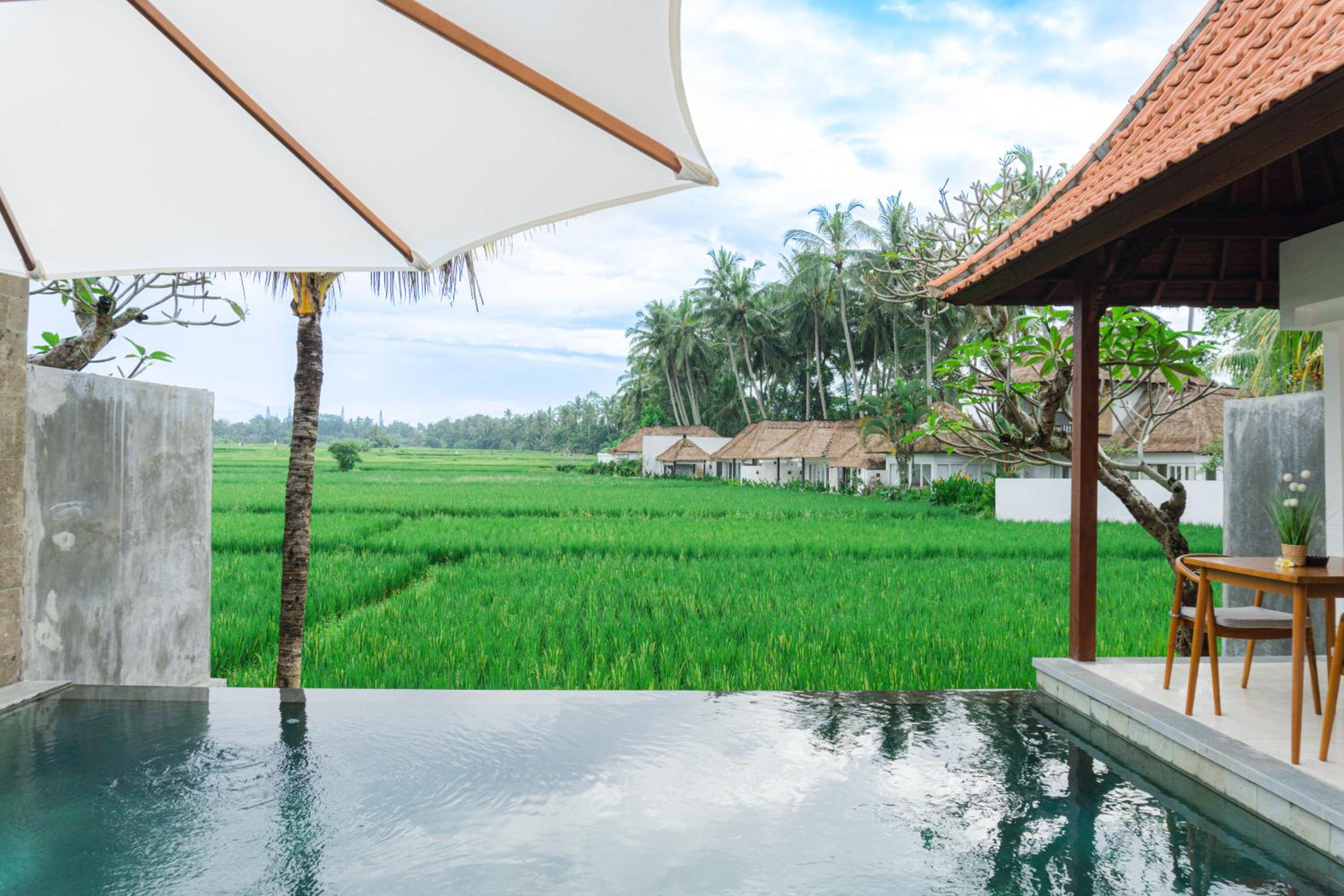 Kemawan Villas - Mountain and Ricefields View