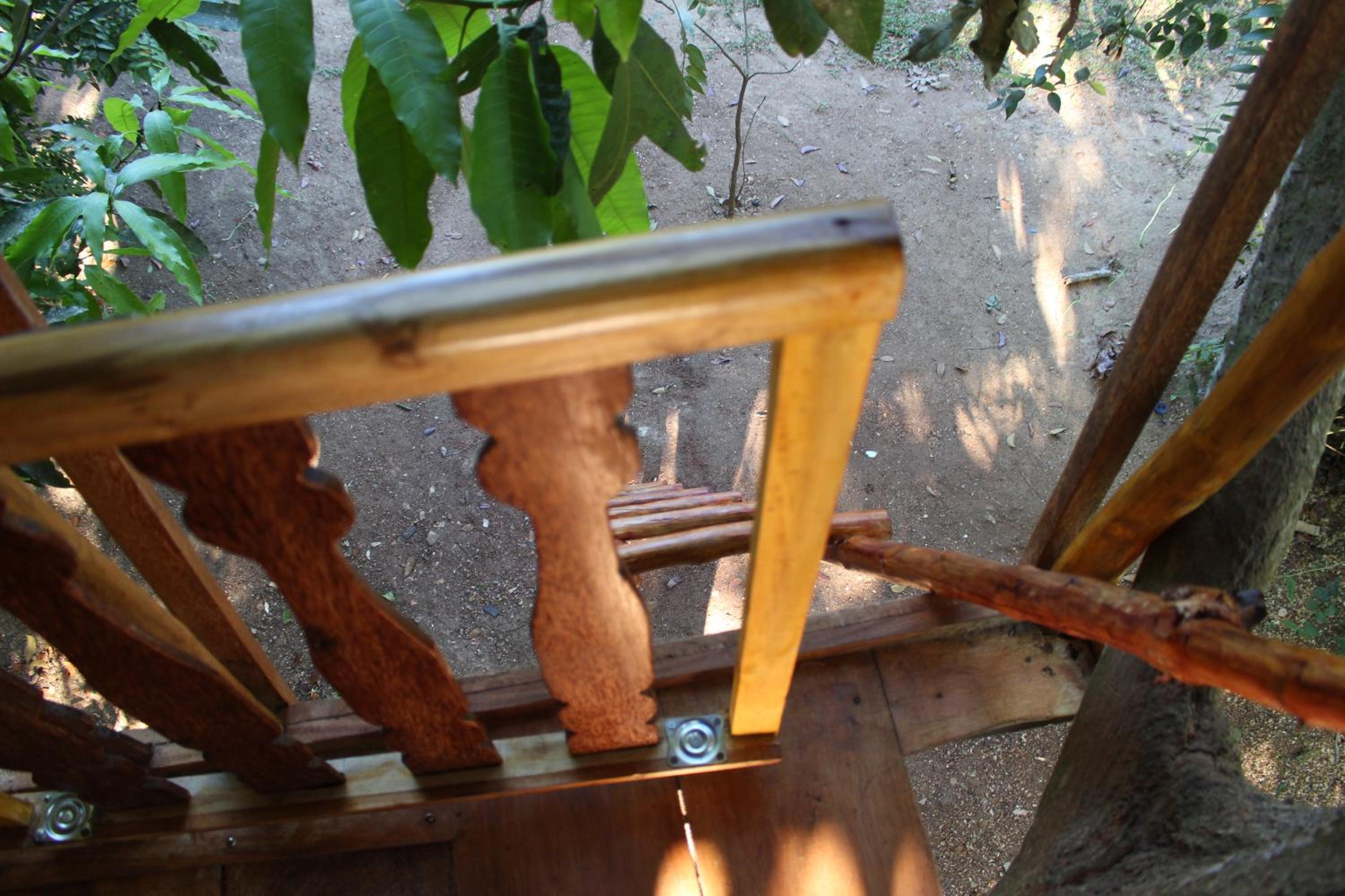 Photo 42
