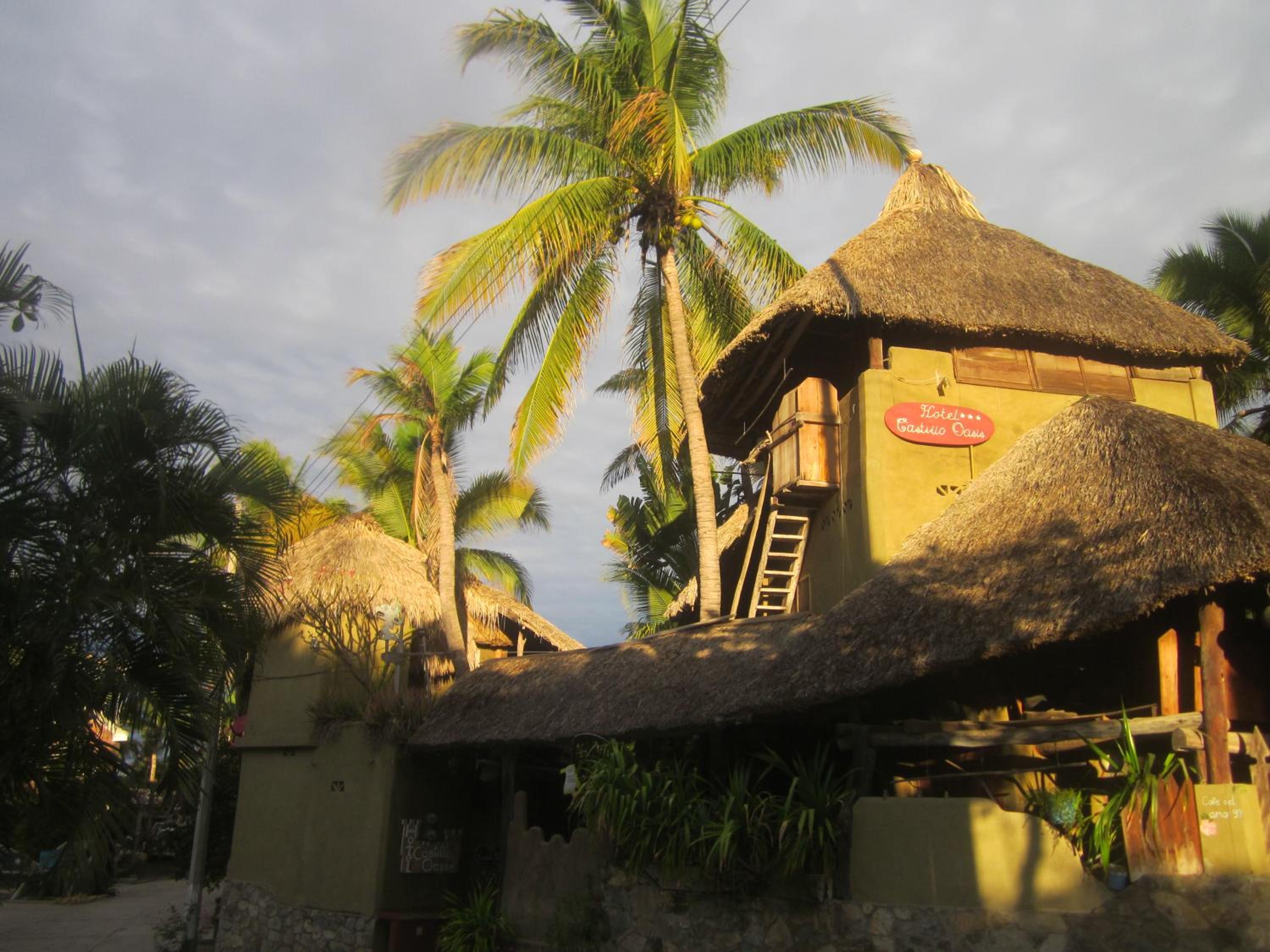 Photo 46
