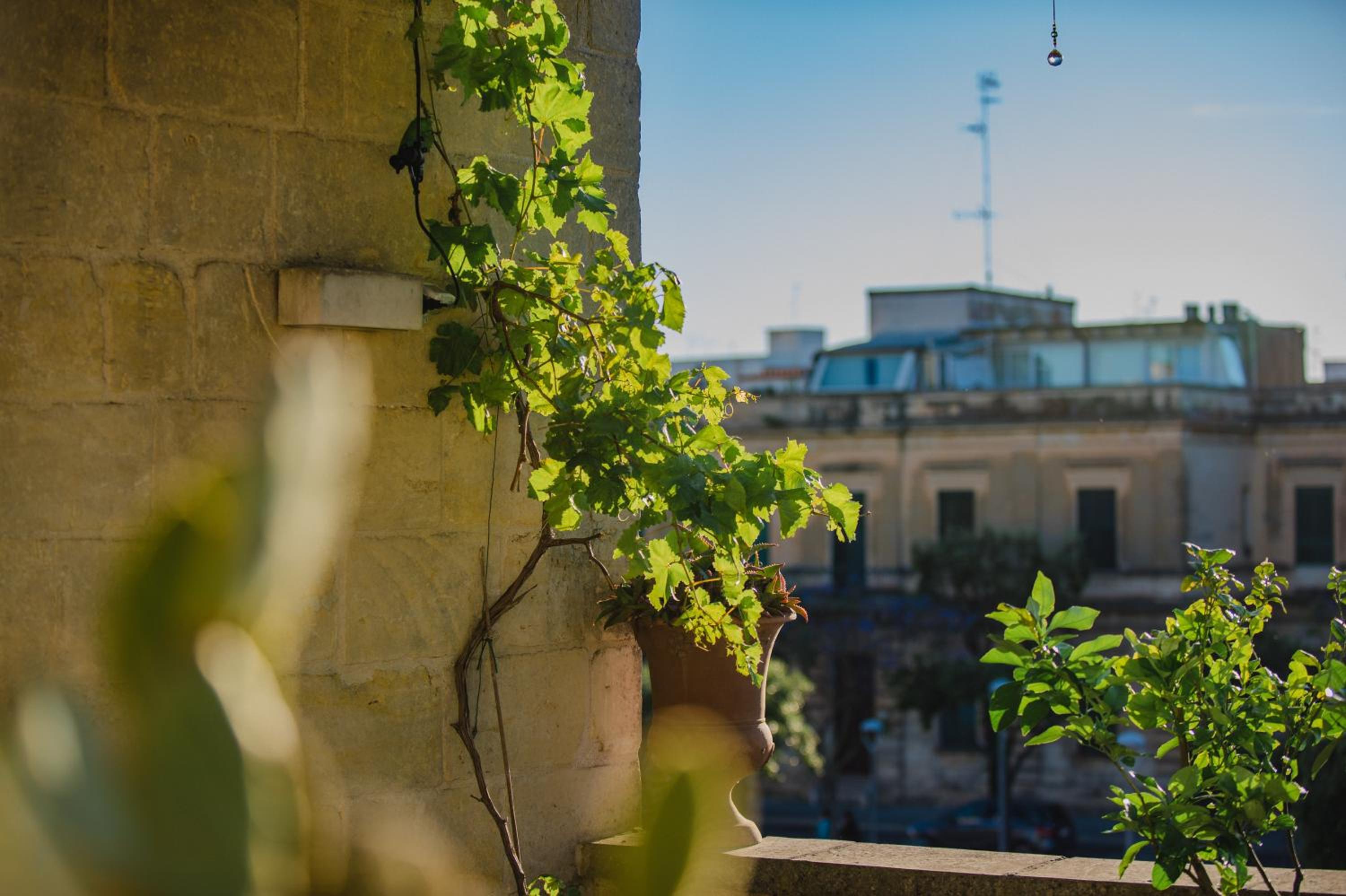 Corte Dei Saraceni