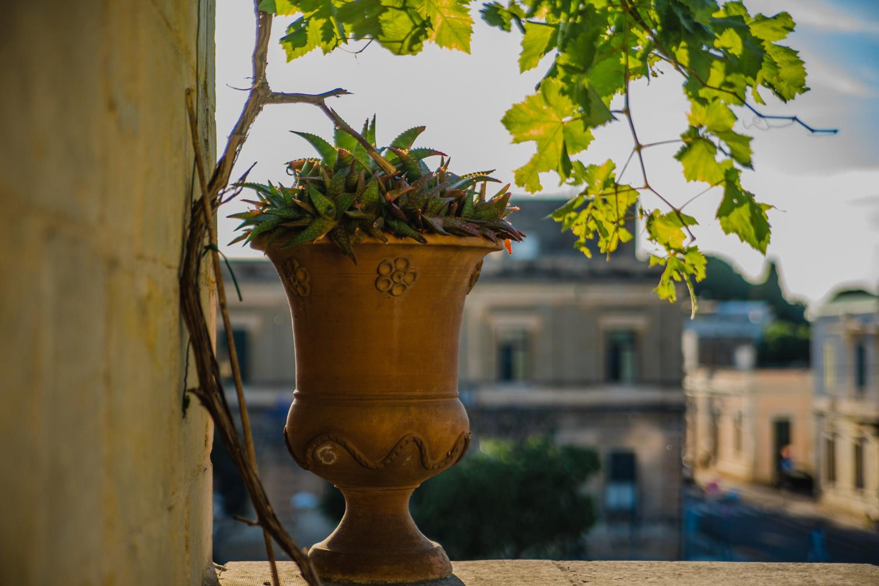 Corte Dei Saraceni