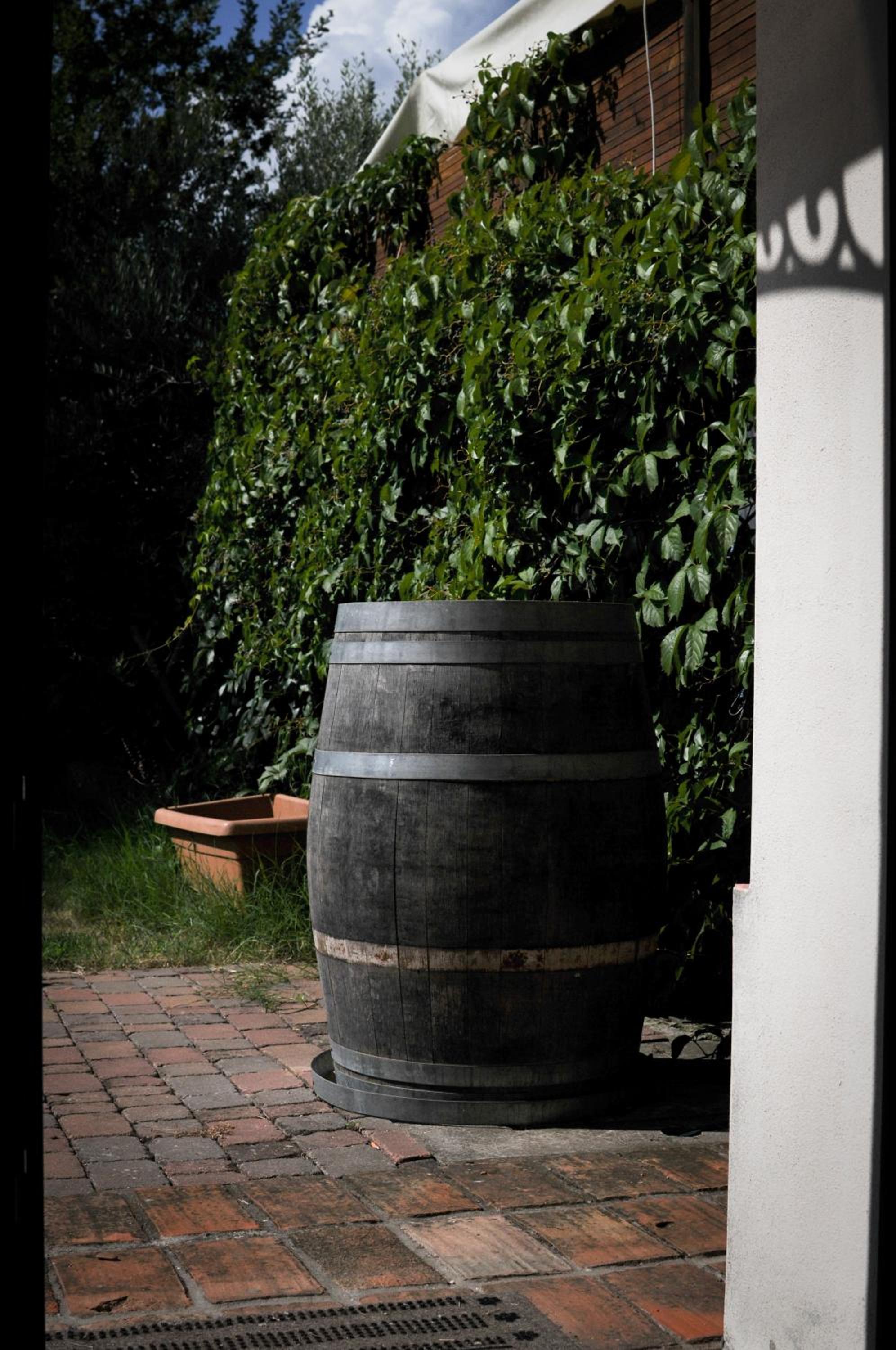 Locanda Merlaschio
