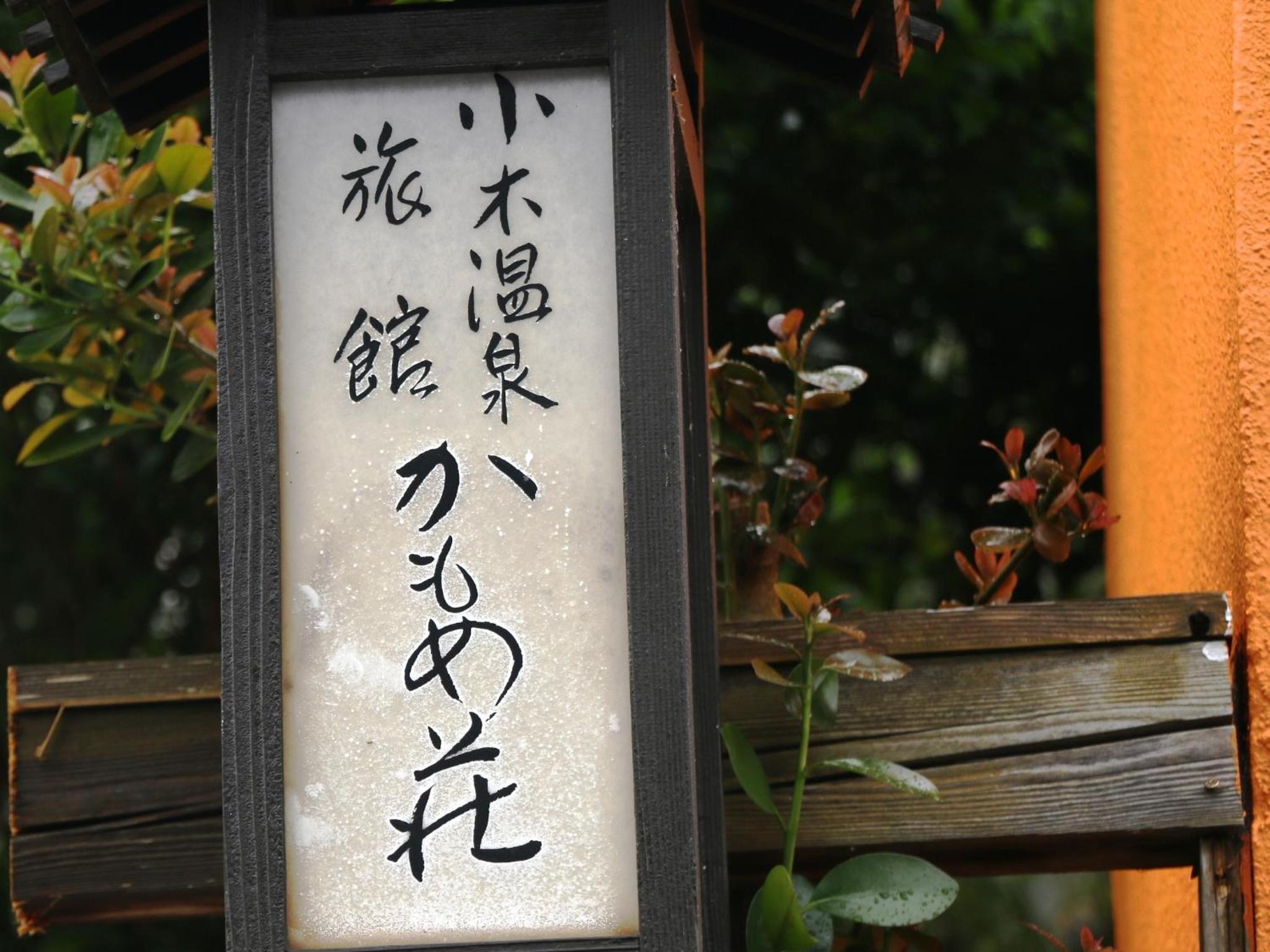 Photo 41
