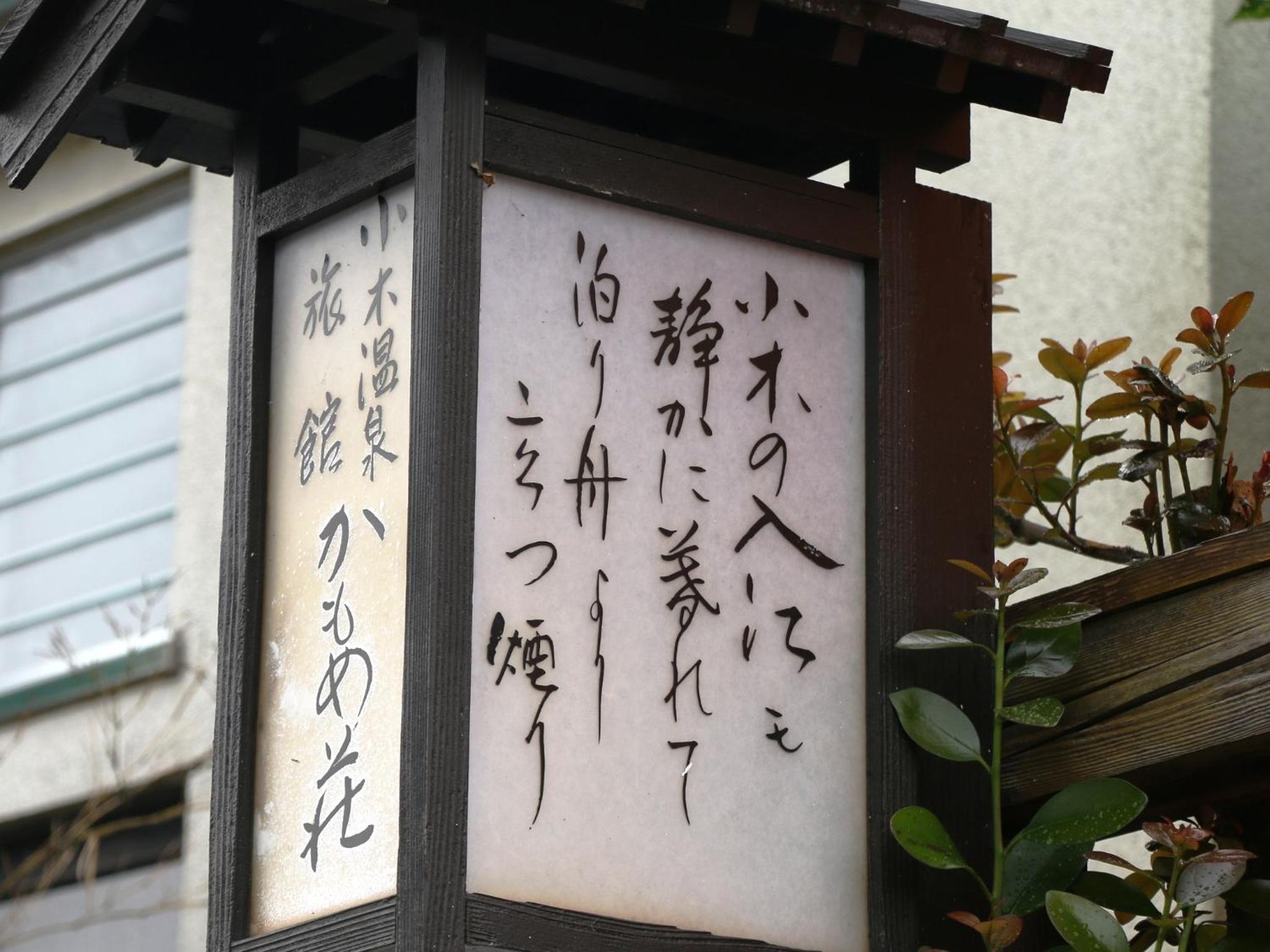 Photo 43