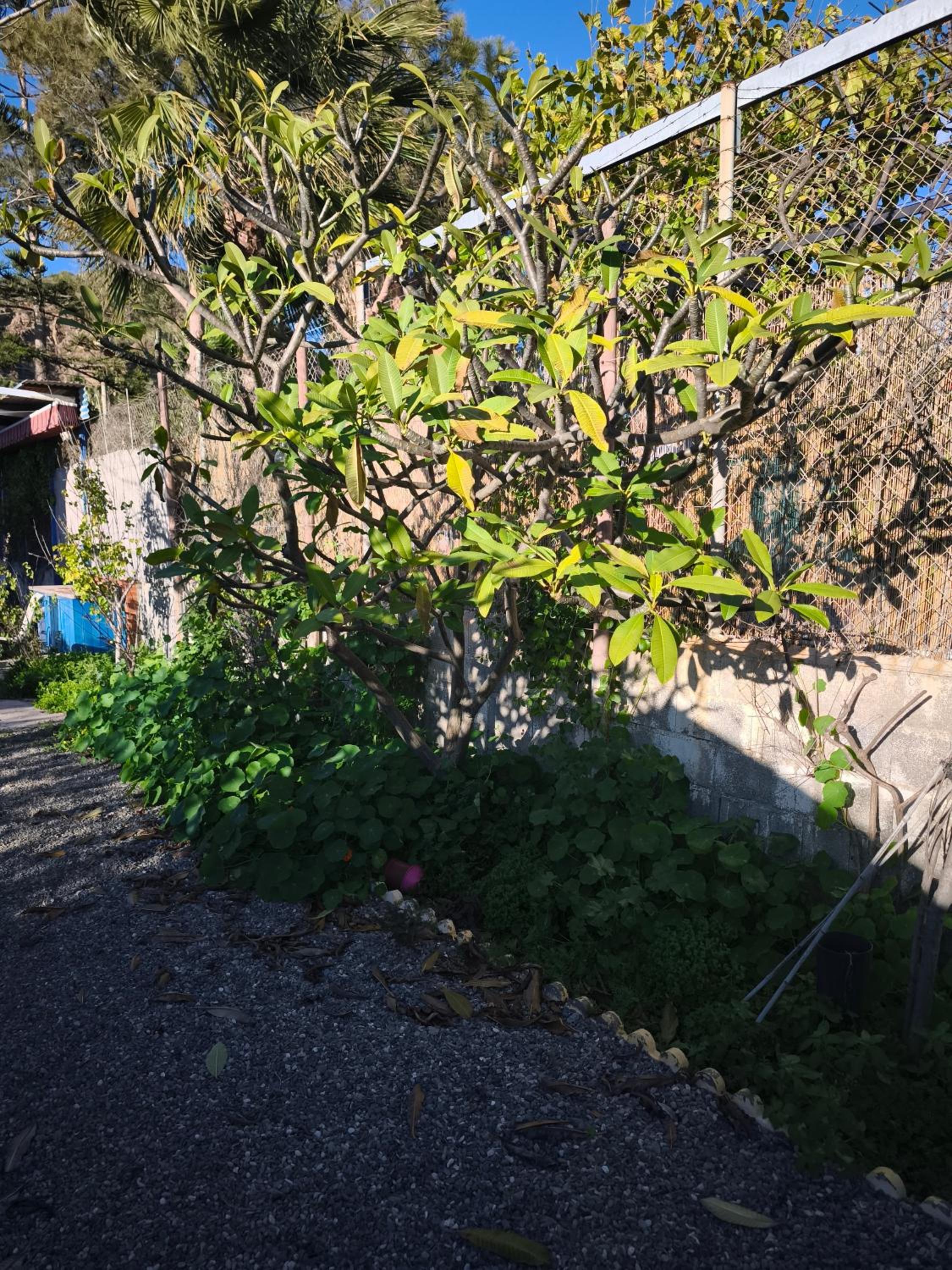 Valle Niza, N 340, 21, Villa Playa