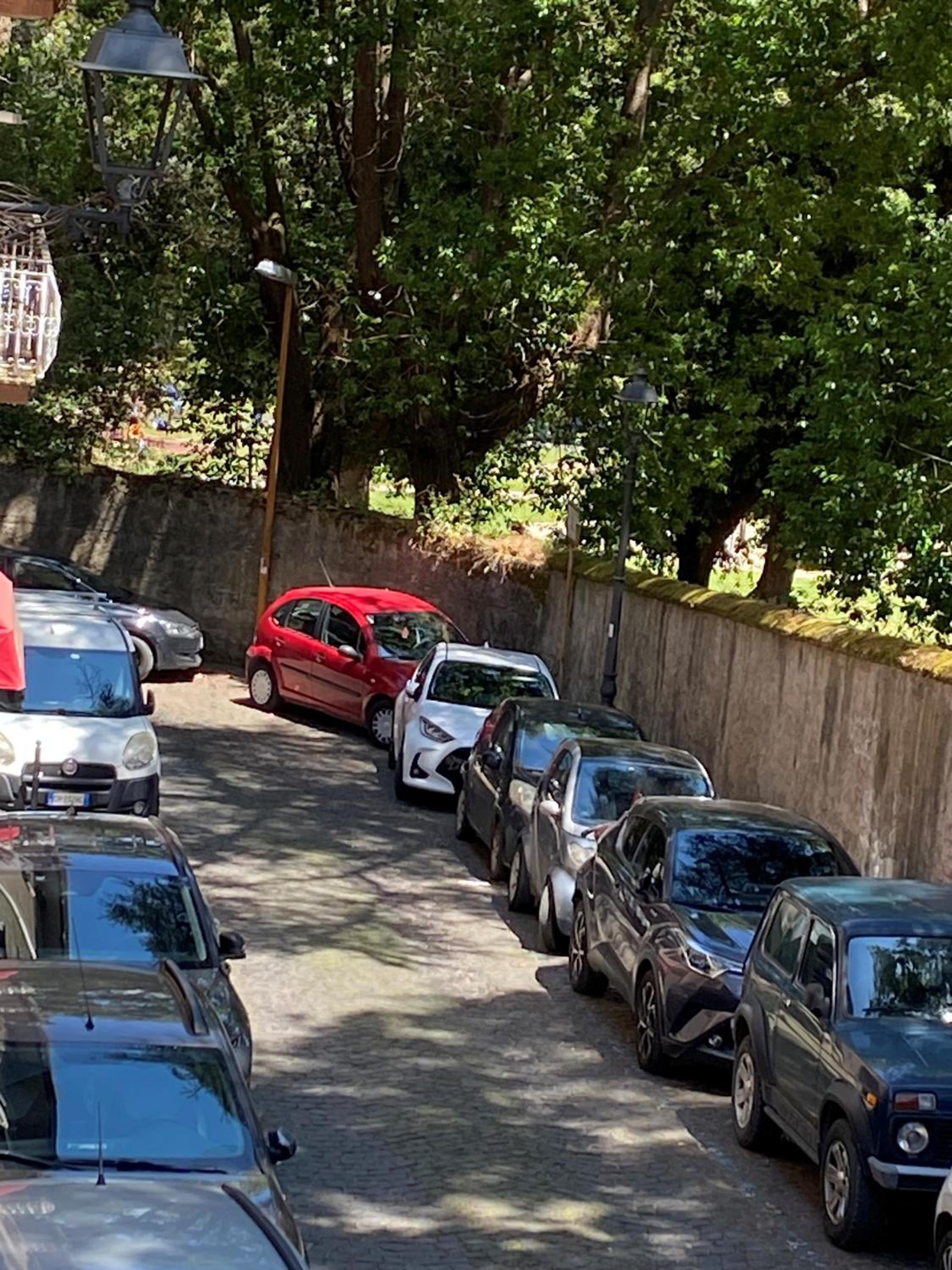 Domus Aila Appartamento Frascati