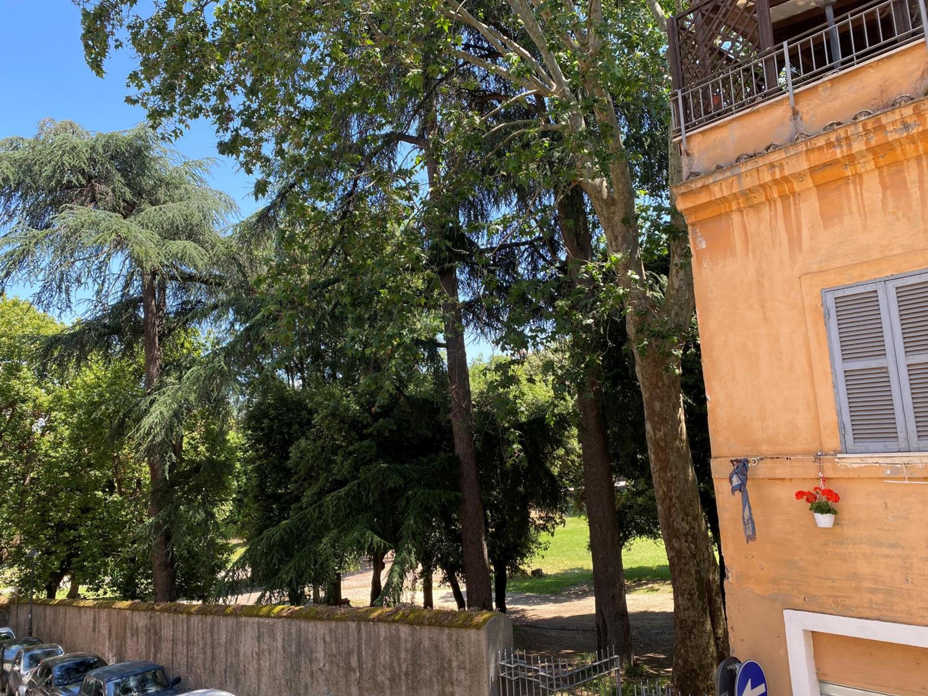 Domus Aila Appartamento Frascati