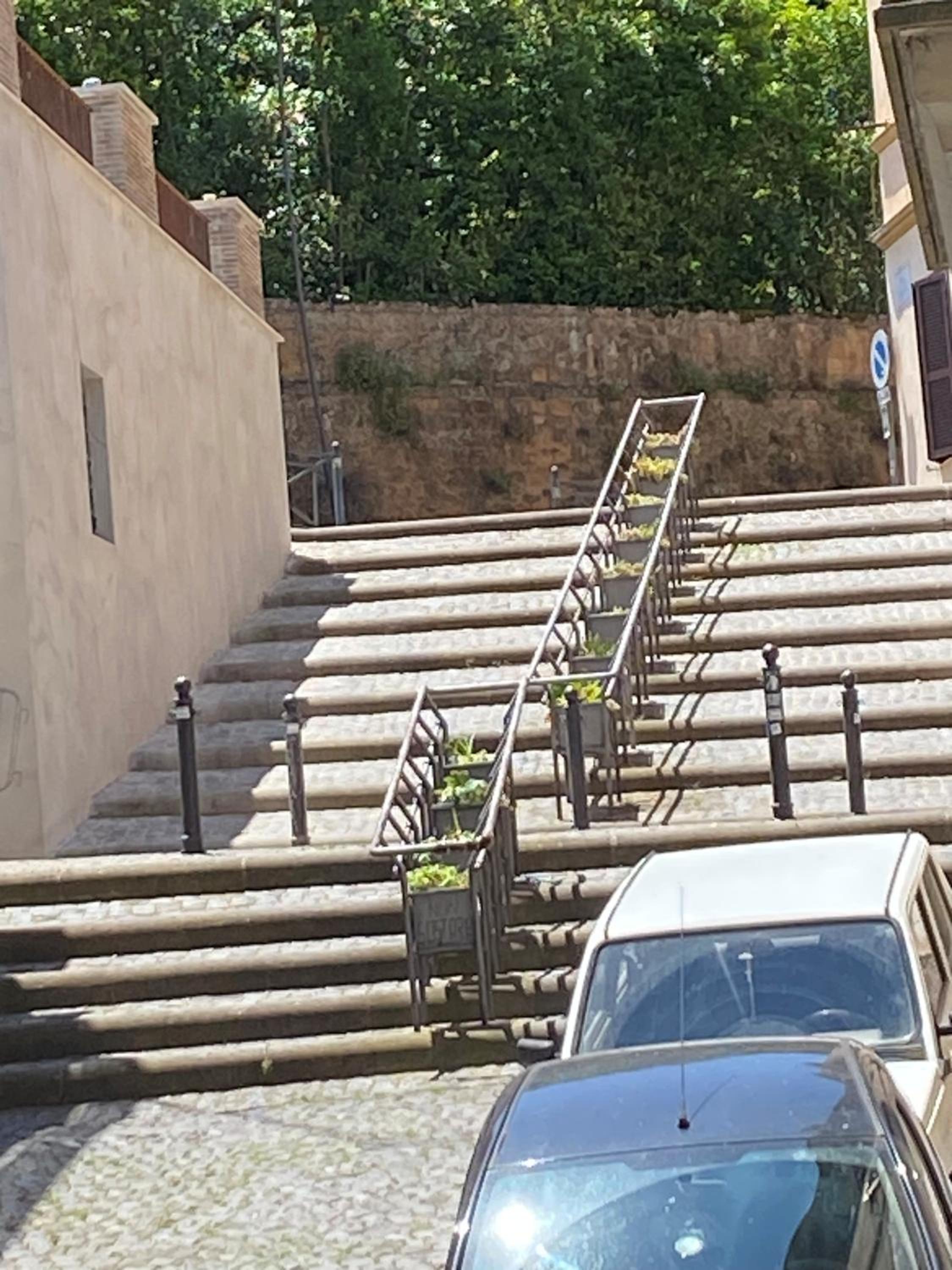 Domus Aila Appartamento Frascati