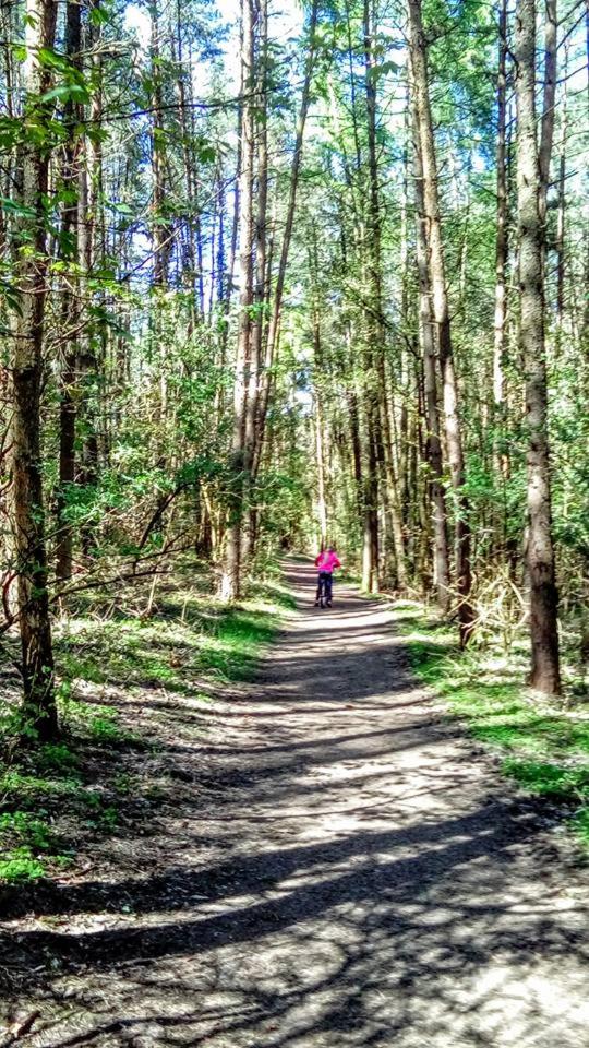 Domki Letniskowe Nad Morzem - Property Image 2