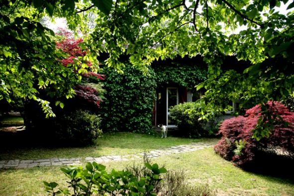 B&B L'Albero Maestro view 4