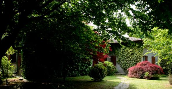 B&B L'Albero Maestro view 3