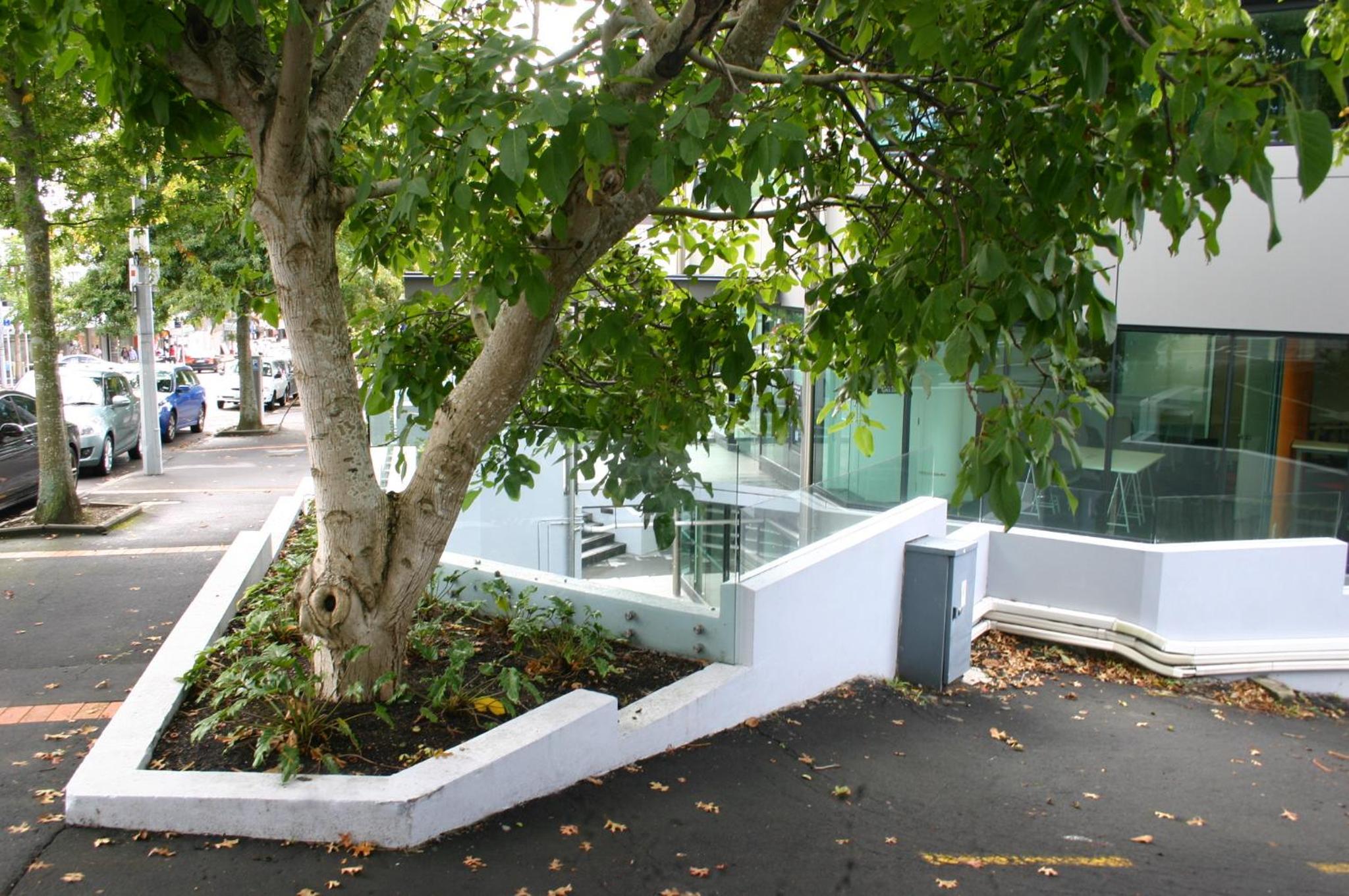 Parnell Pines Hotel