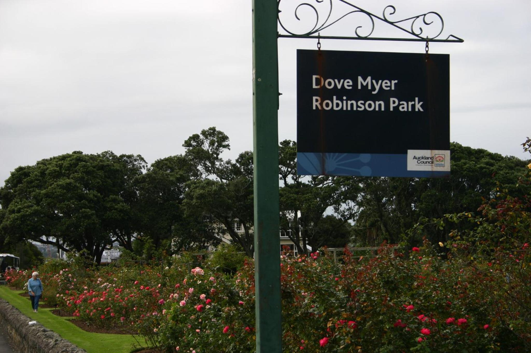 Parnell Pines Hotel - Image 3