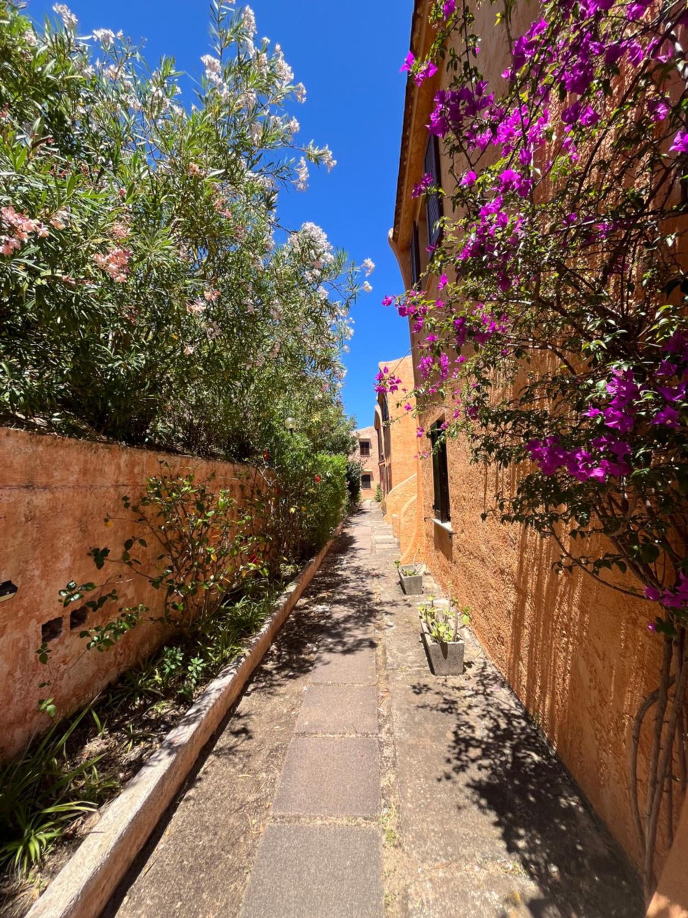APPARTAMENTI BIANCANEVE by VILLA AUREA CAV