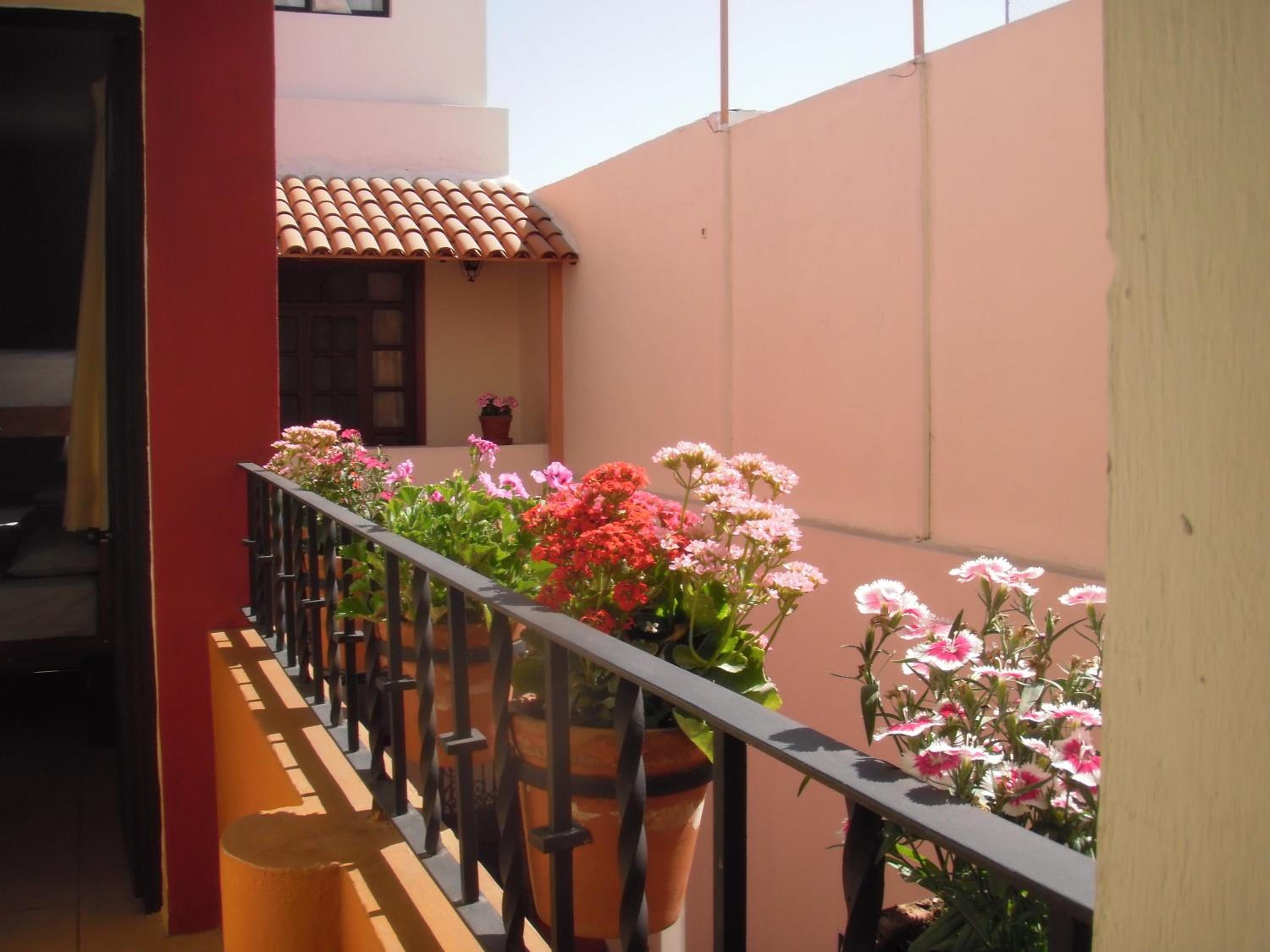Olga Querida B&B Hostal — photo 2