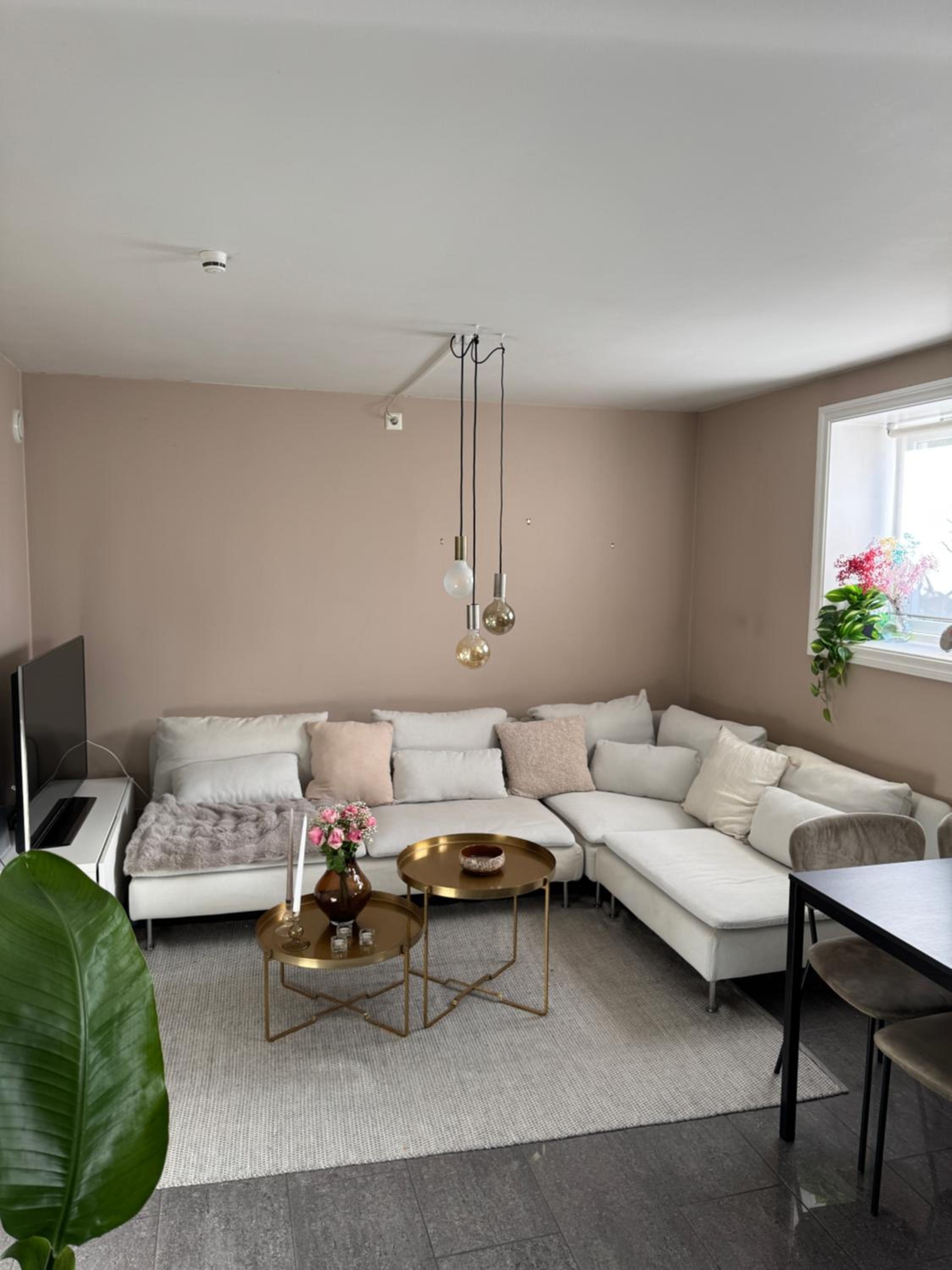 Cozy apartment near city center and the mountains