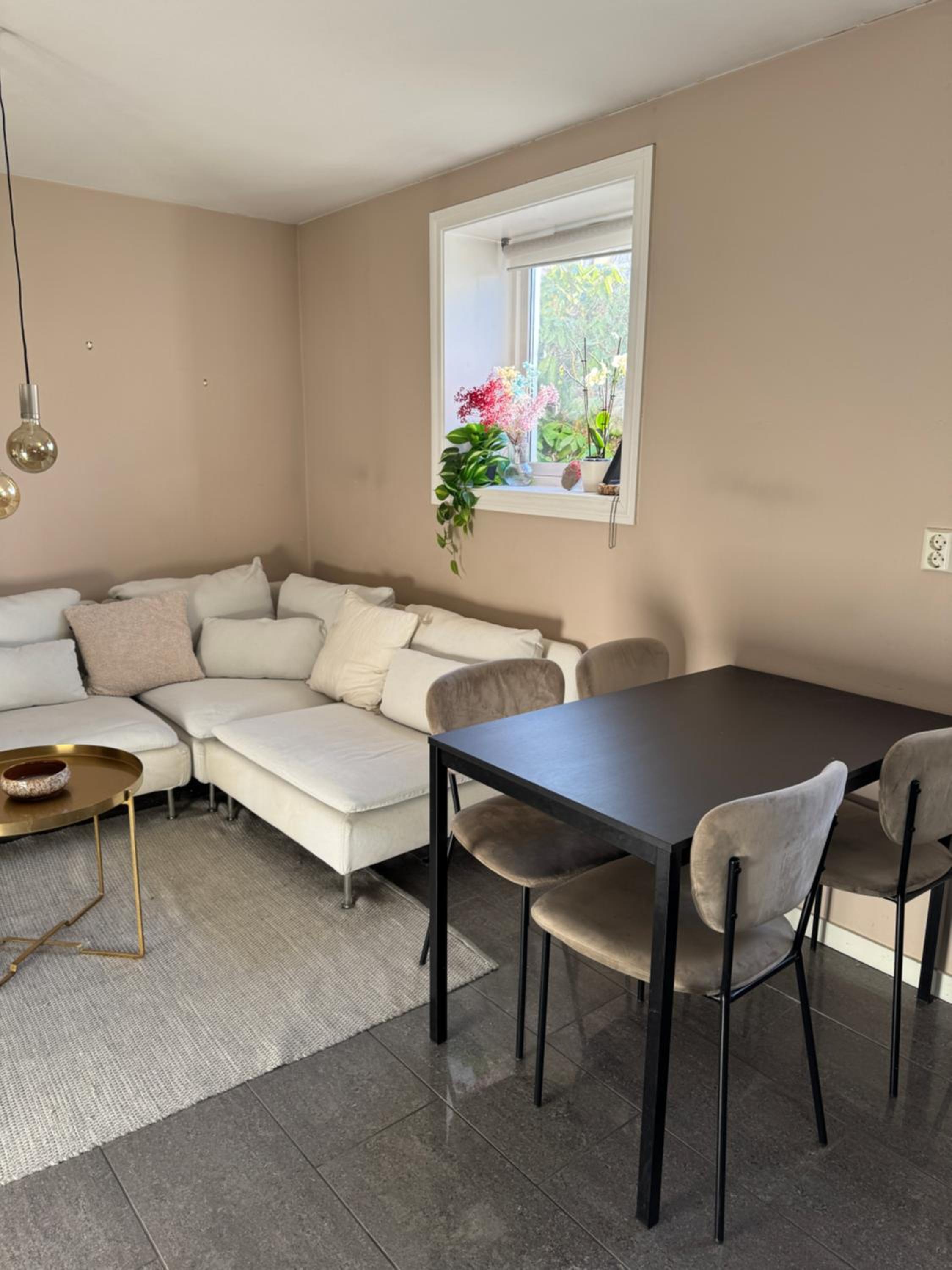 Cozy apartment near city center and the mountains