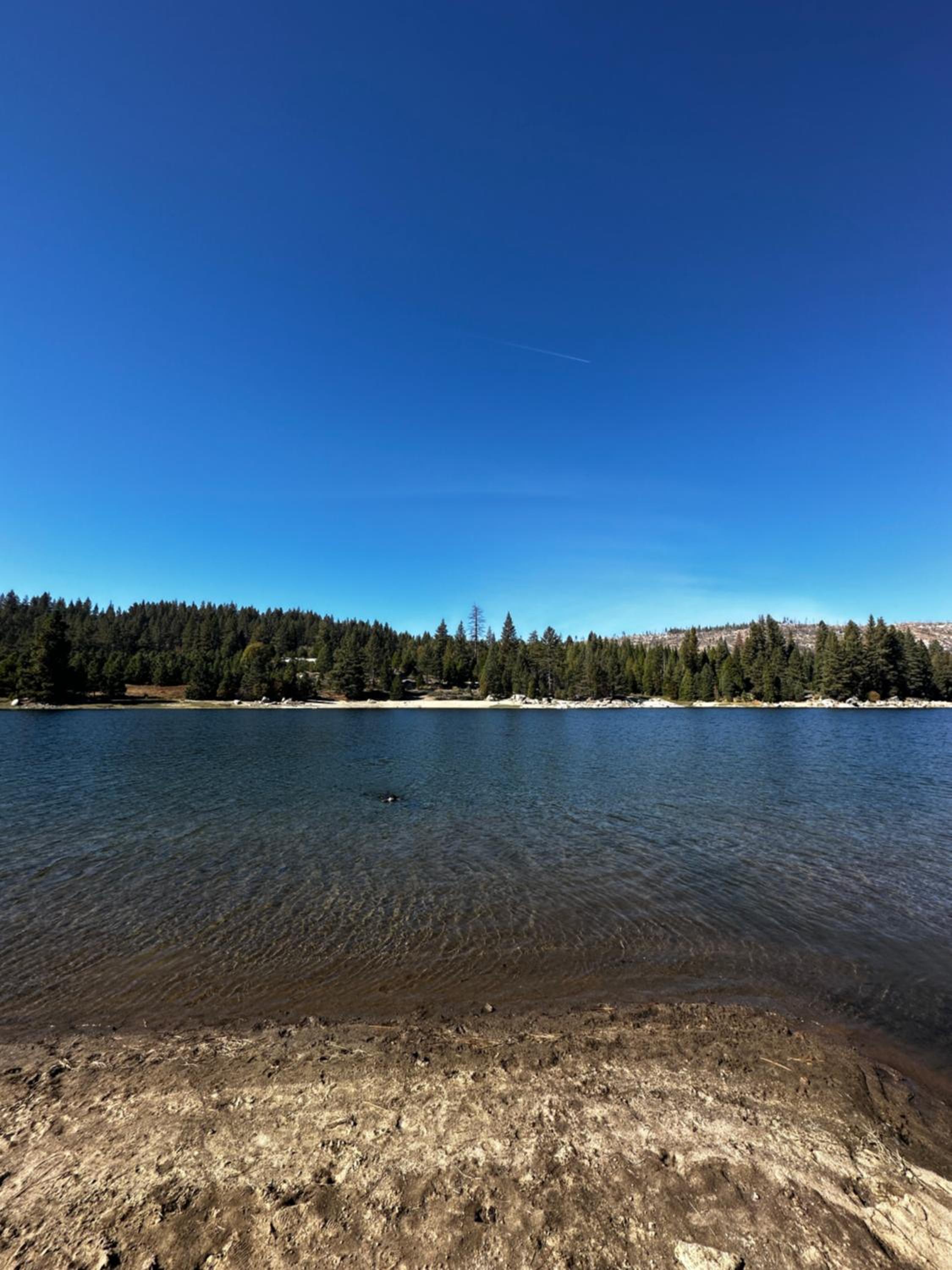 Bear Meadow Cabin at Shaver Lake