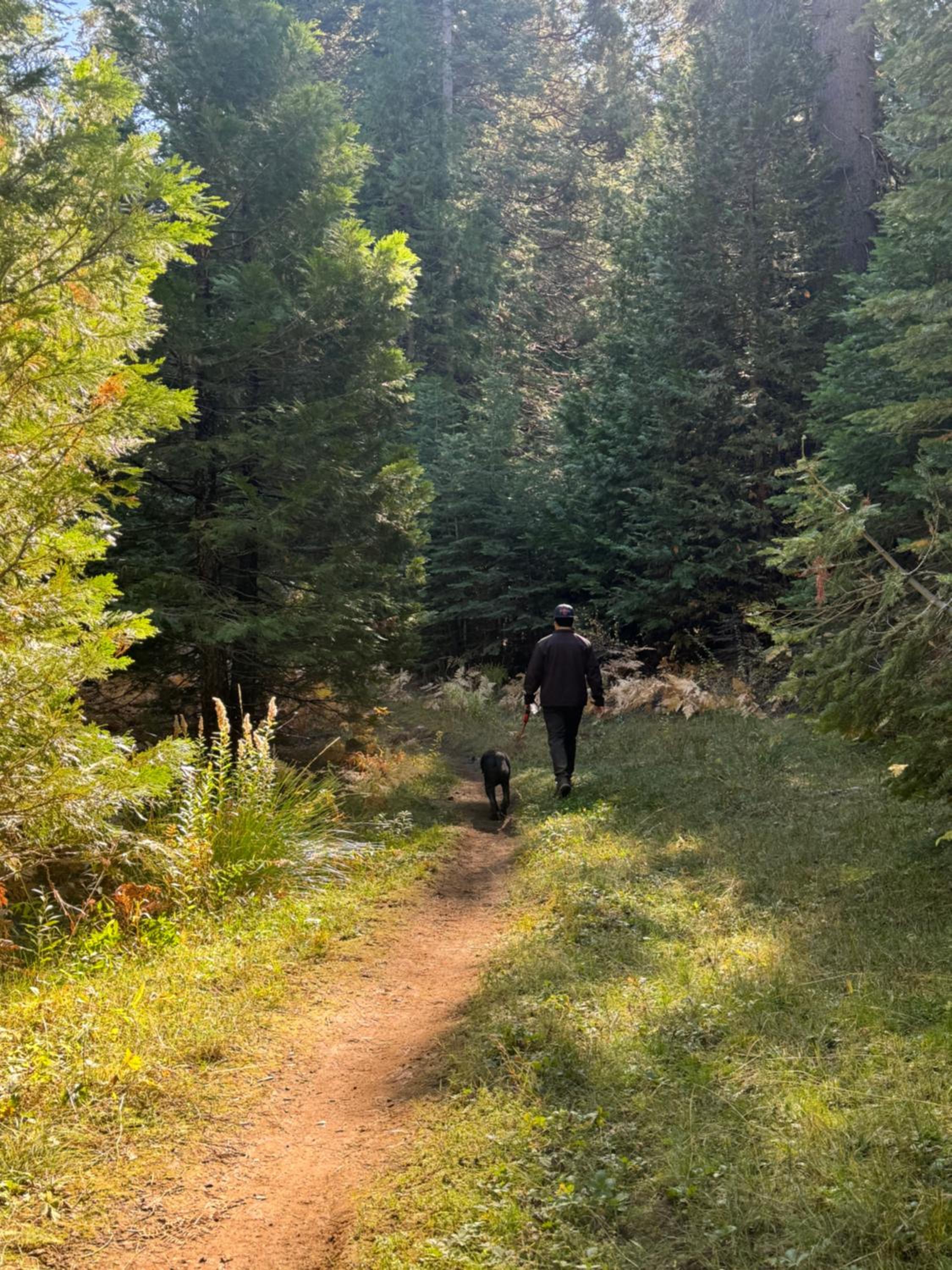 Bear Meadow Cabin at Shaver Lake
