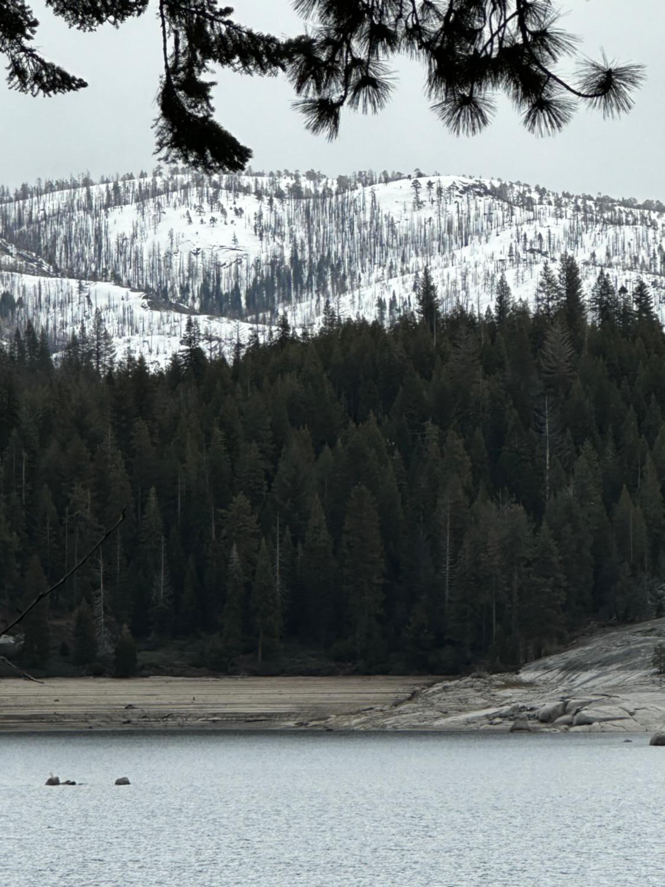 Bear Meadow Cabin at Shaver Lake