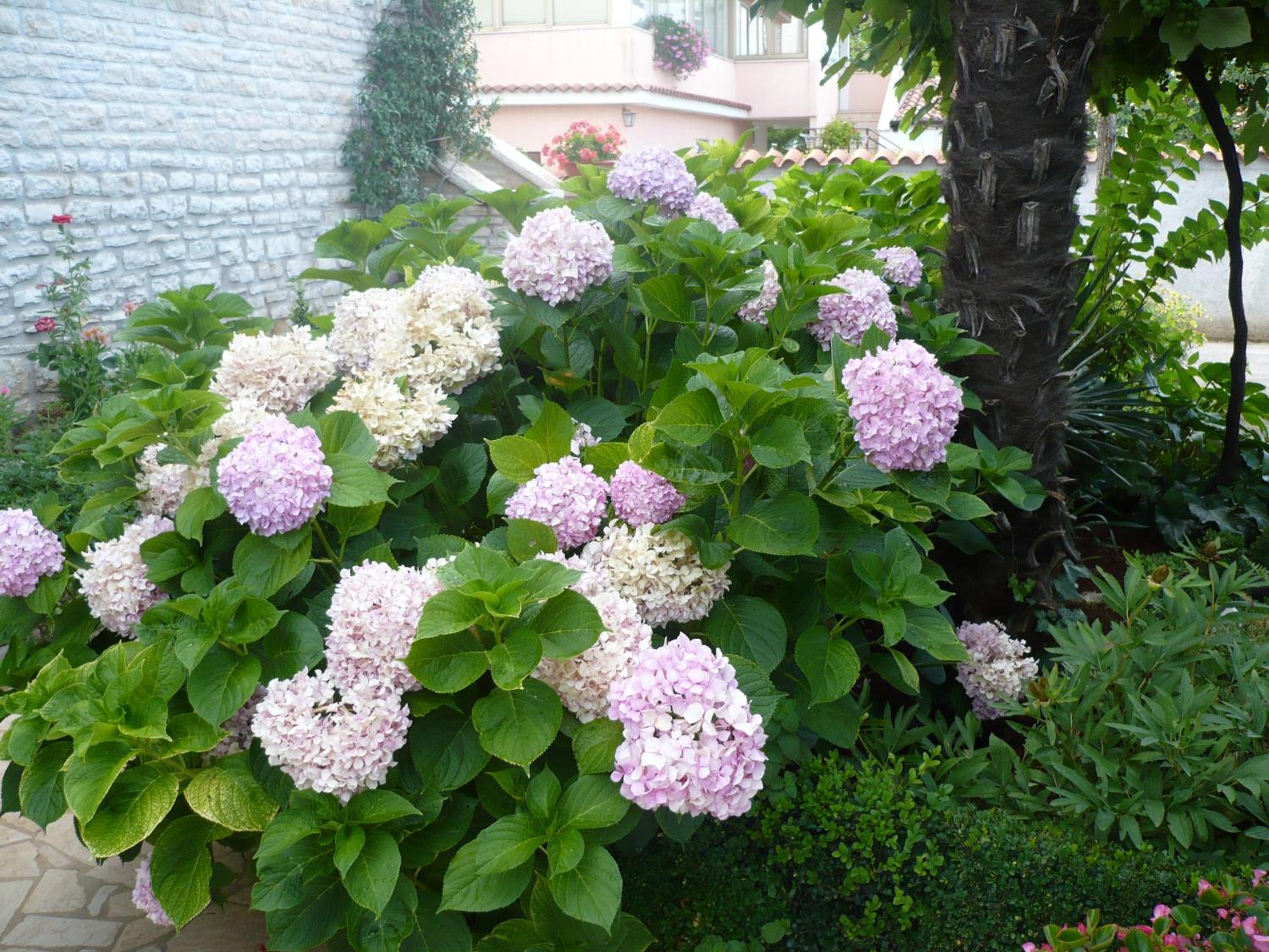 Photo 49