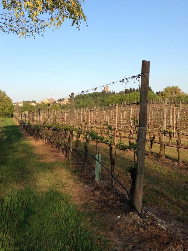 Agriturismo La Torretta da Valentina