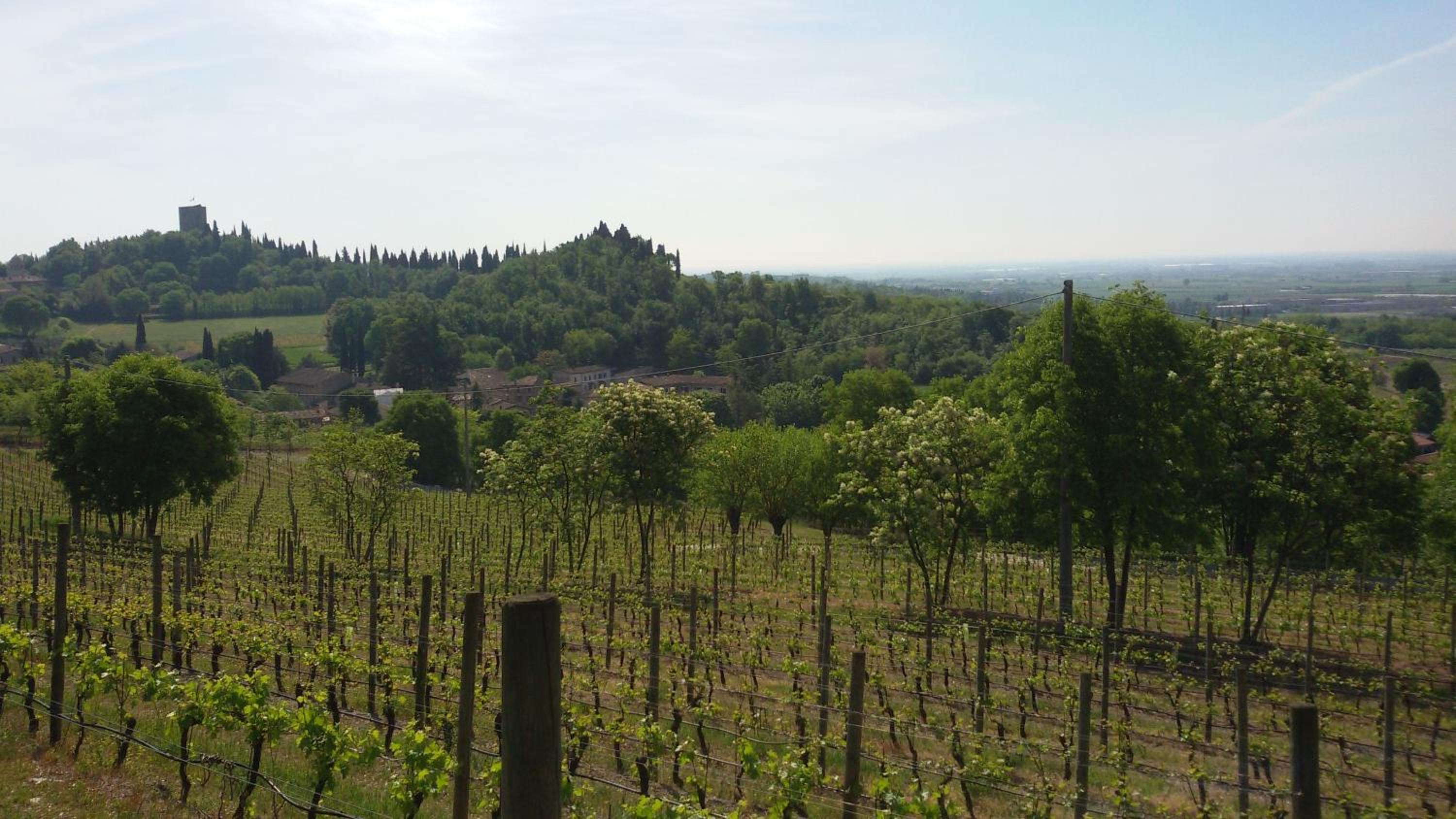 Agriturismo La Torretta da Valentina