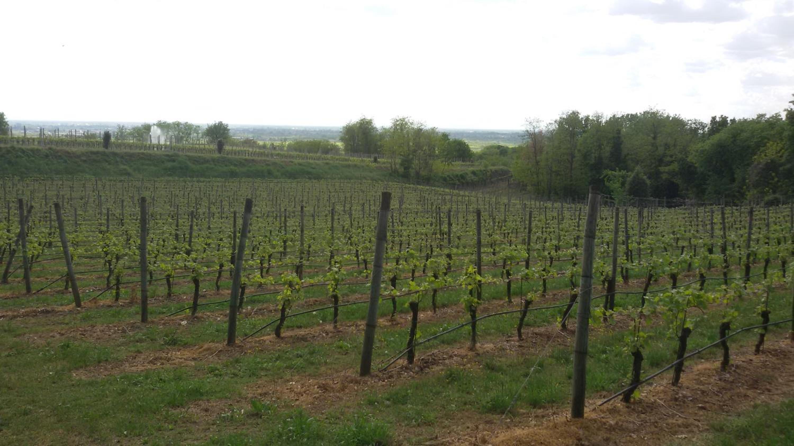 Agriturismo La Torretta da Valentina