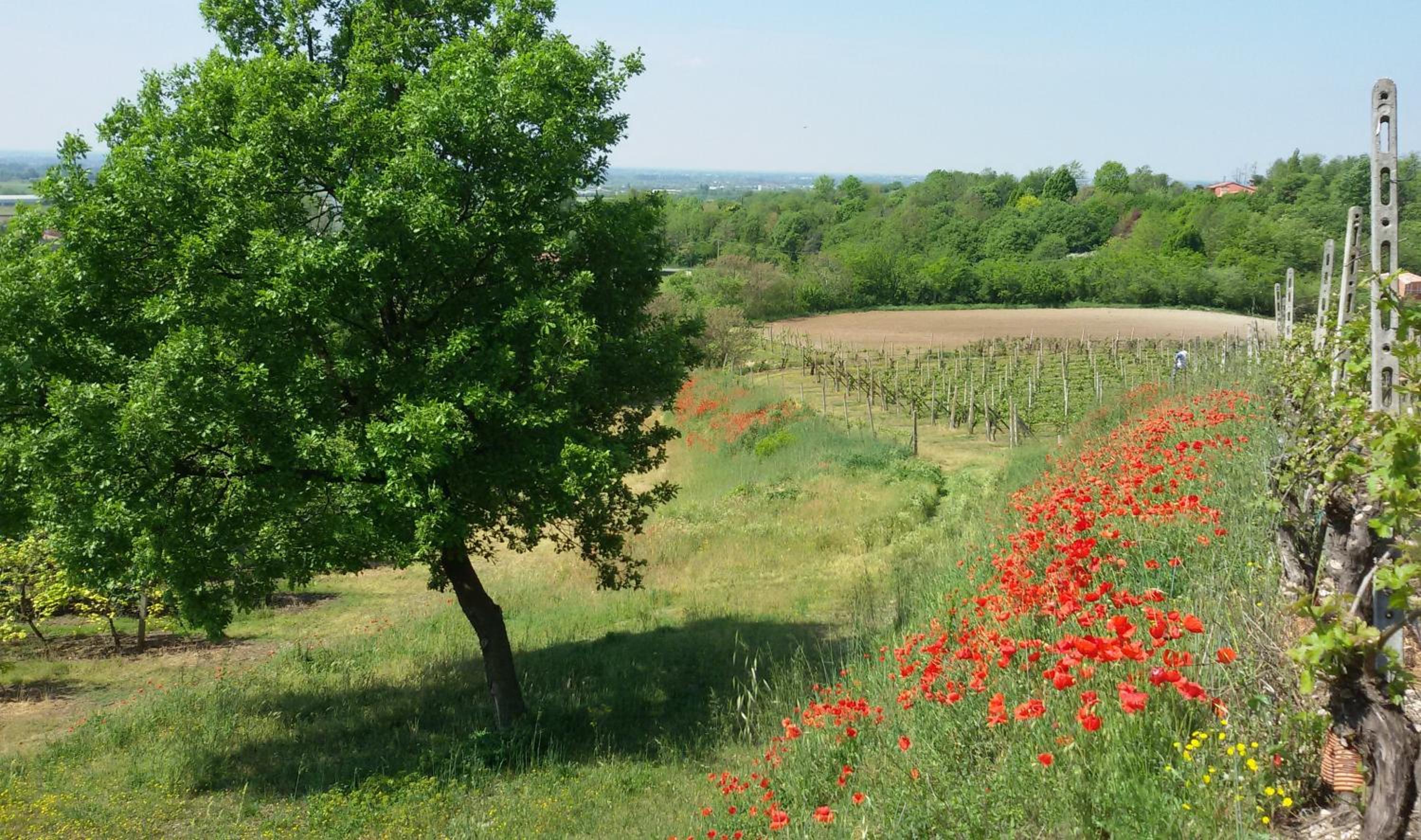 Agriturismo La Torretta da Valentina