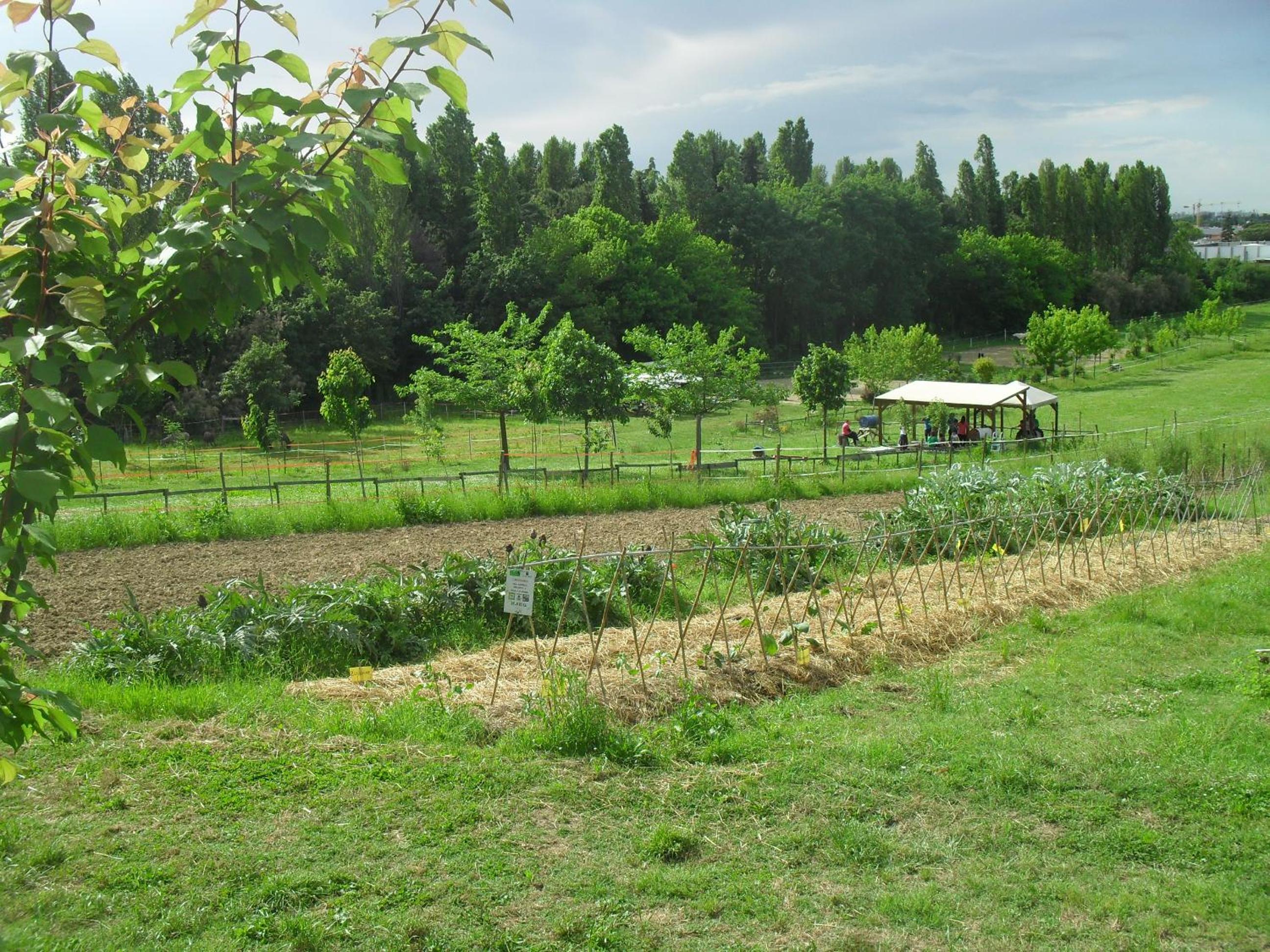 Agriturismo Case Mori