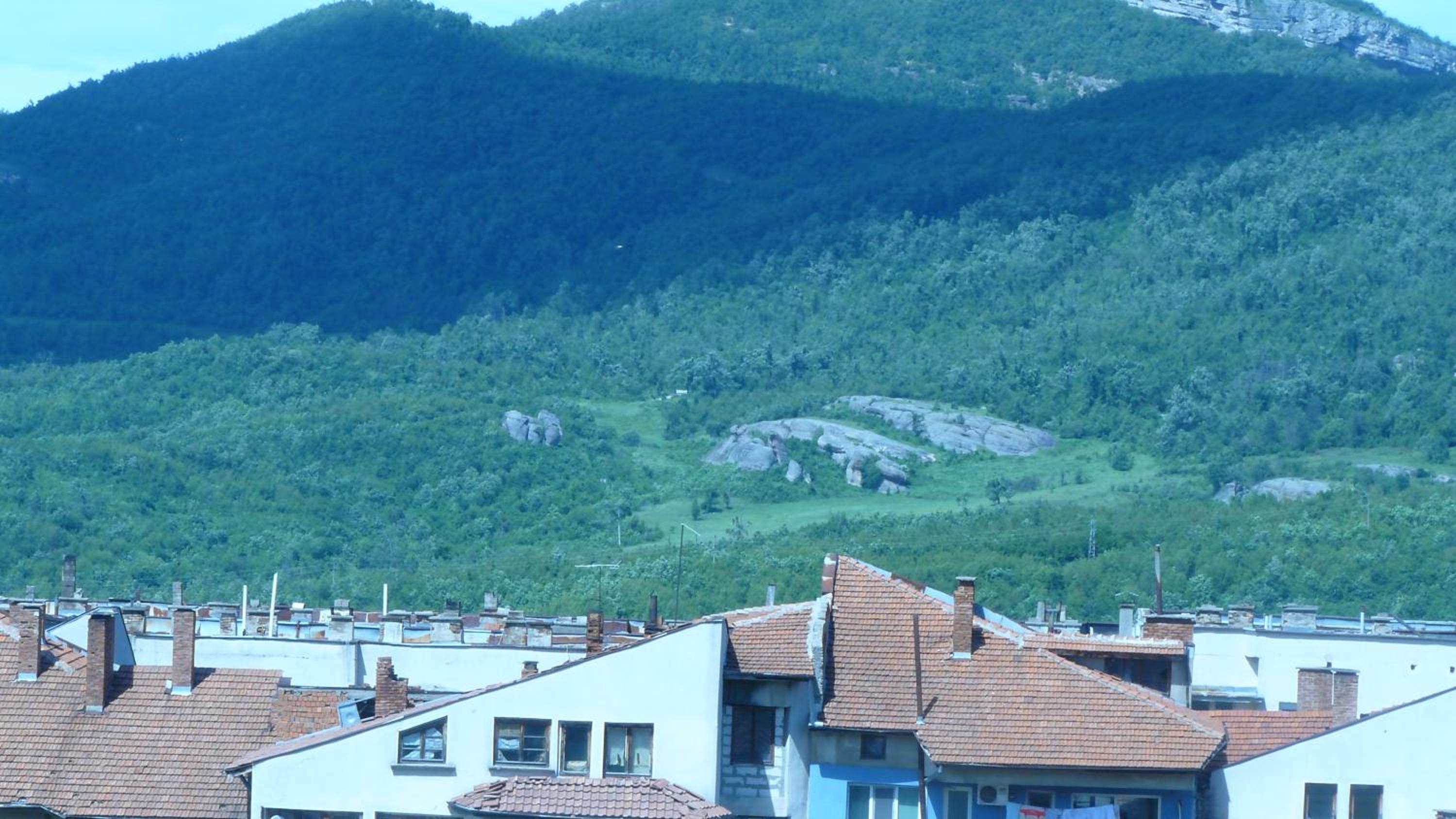 Photo 12