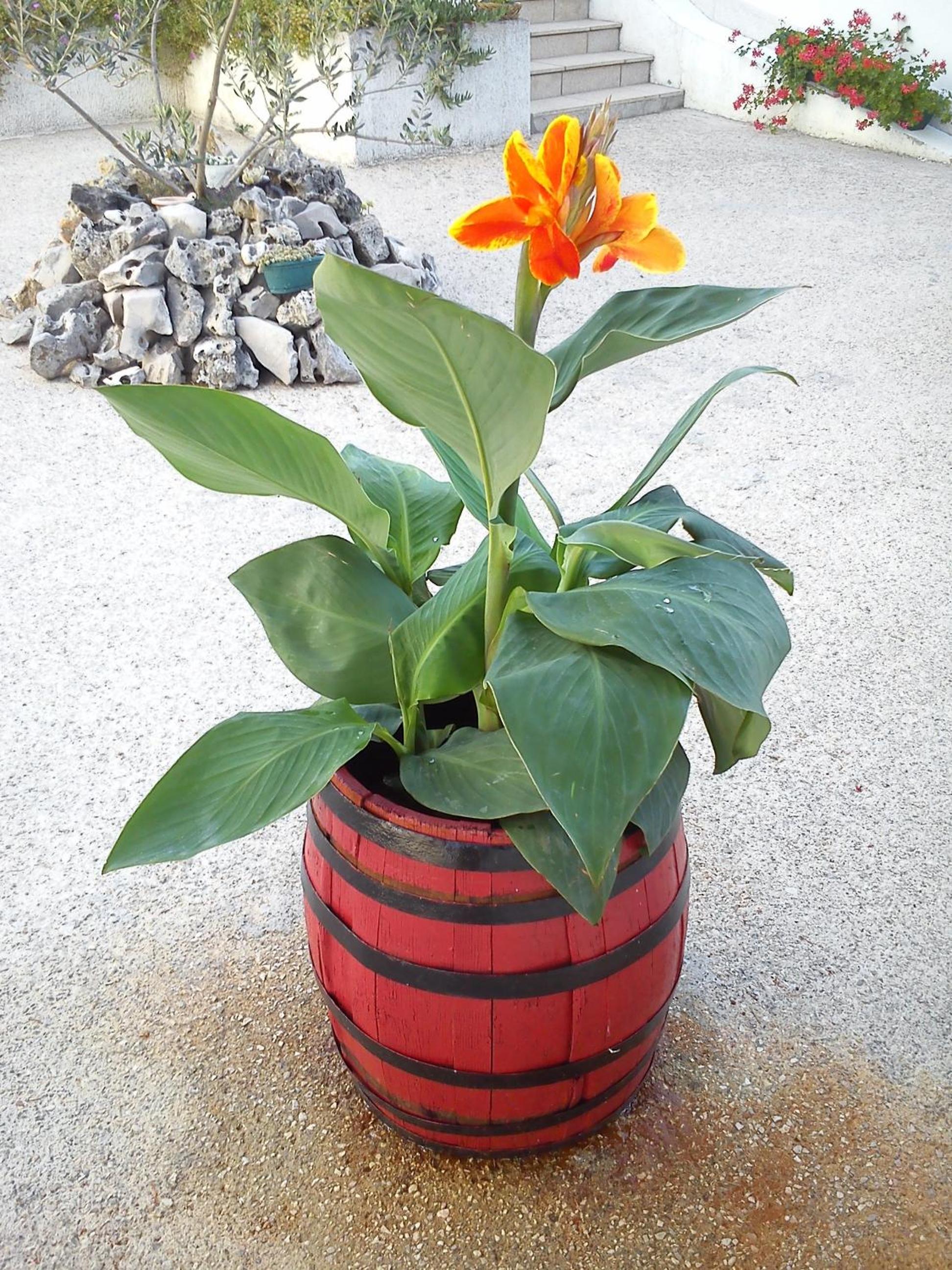 Photo 21