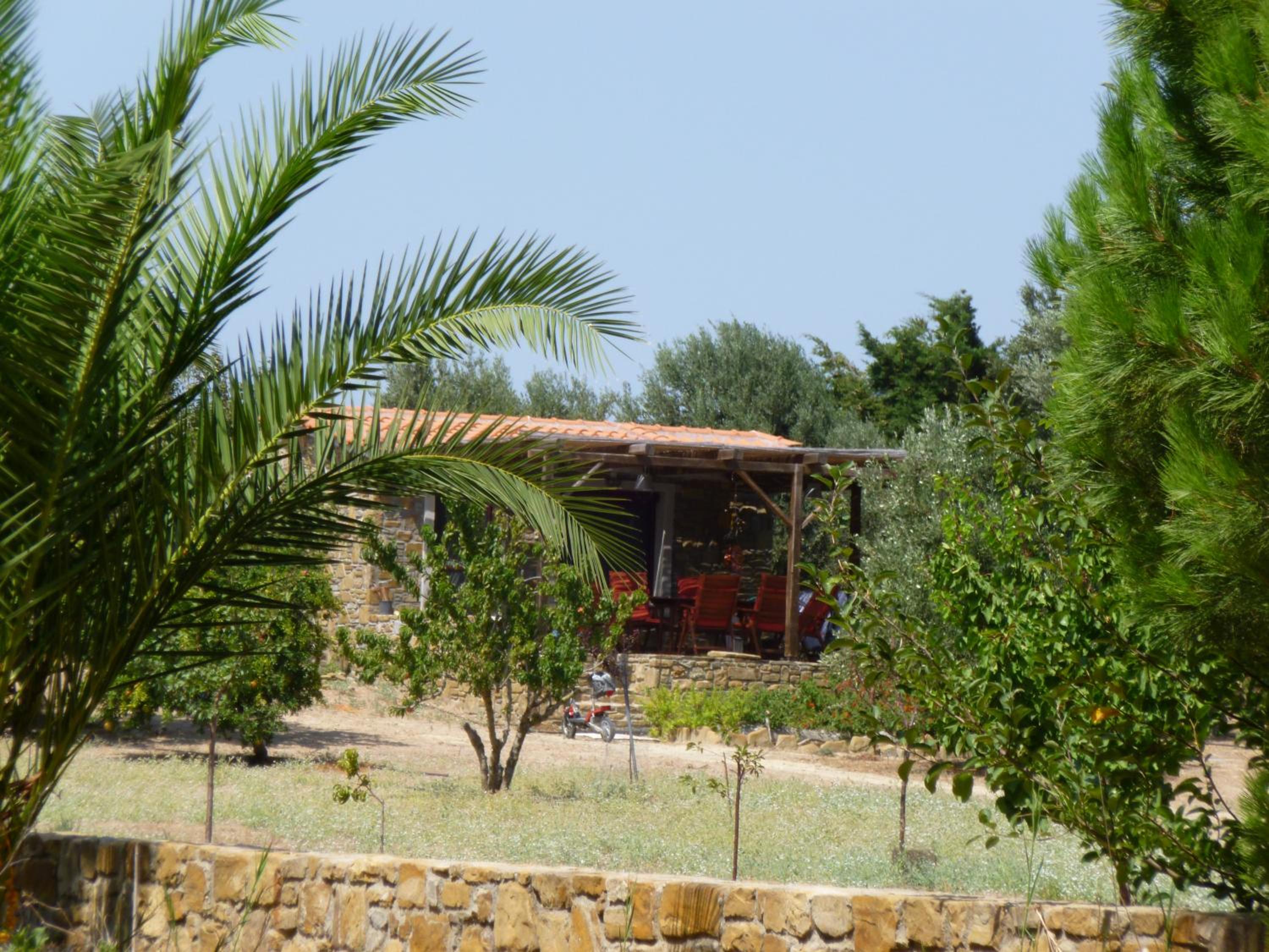 Photo 20