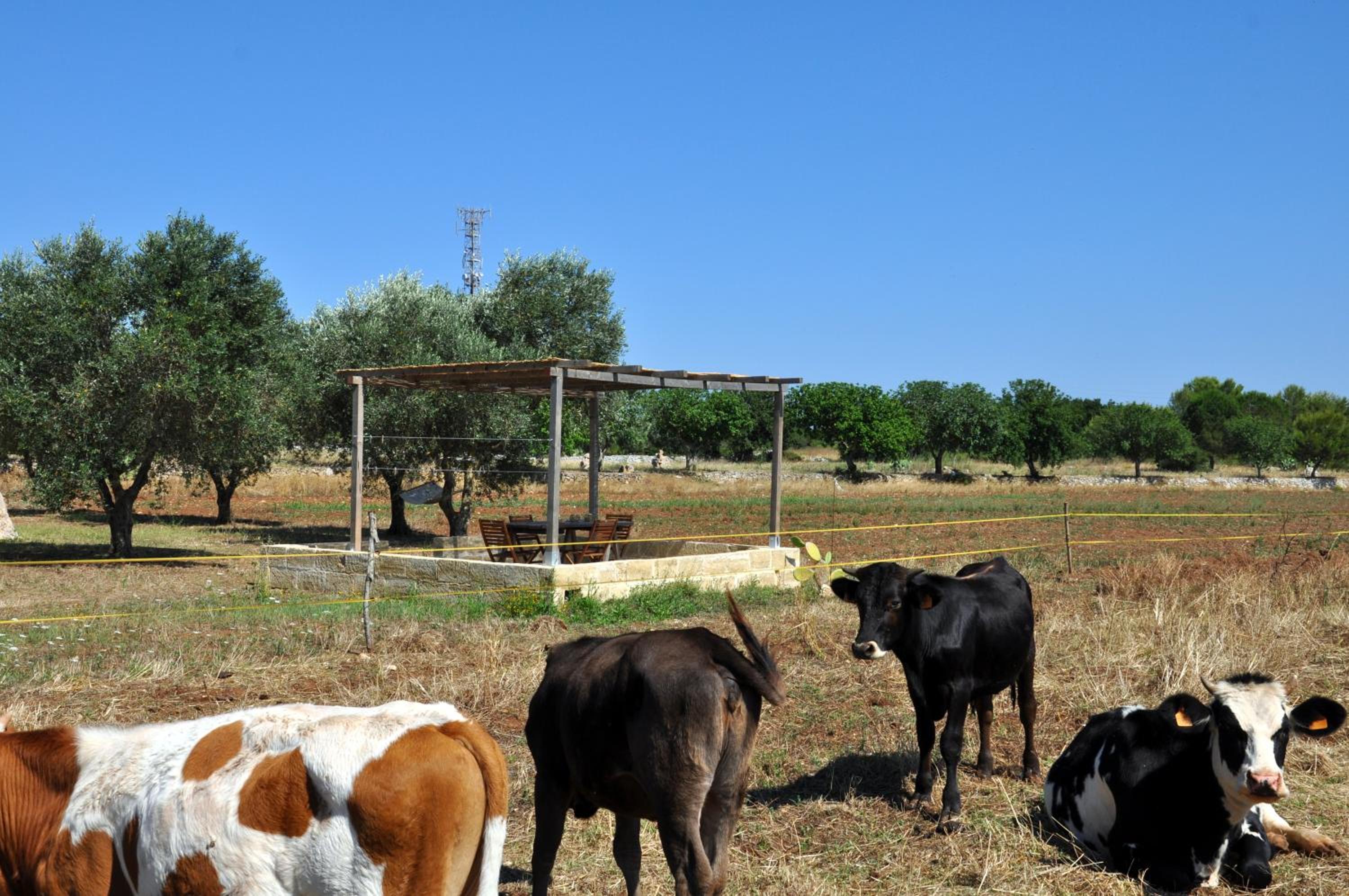Masseria Uccio