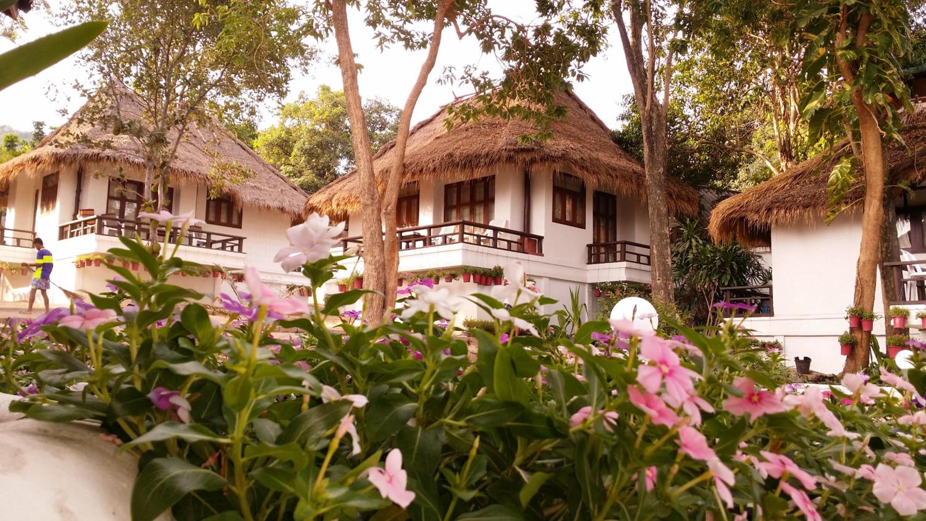 Clear View Resort
