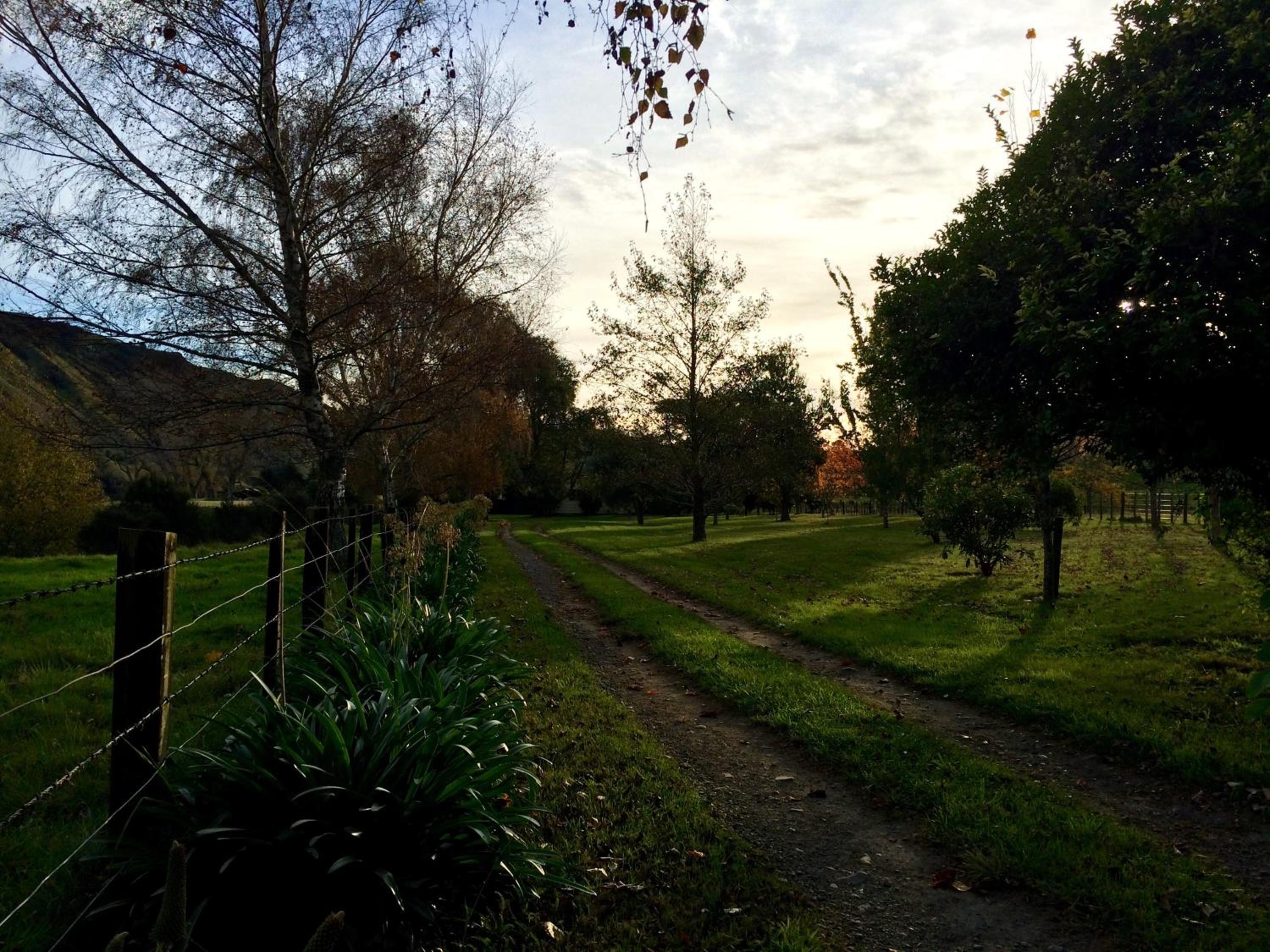 Photo 47