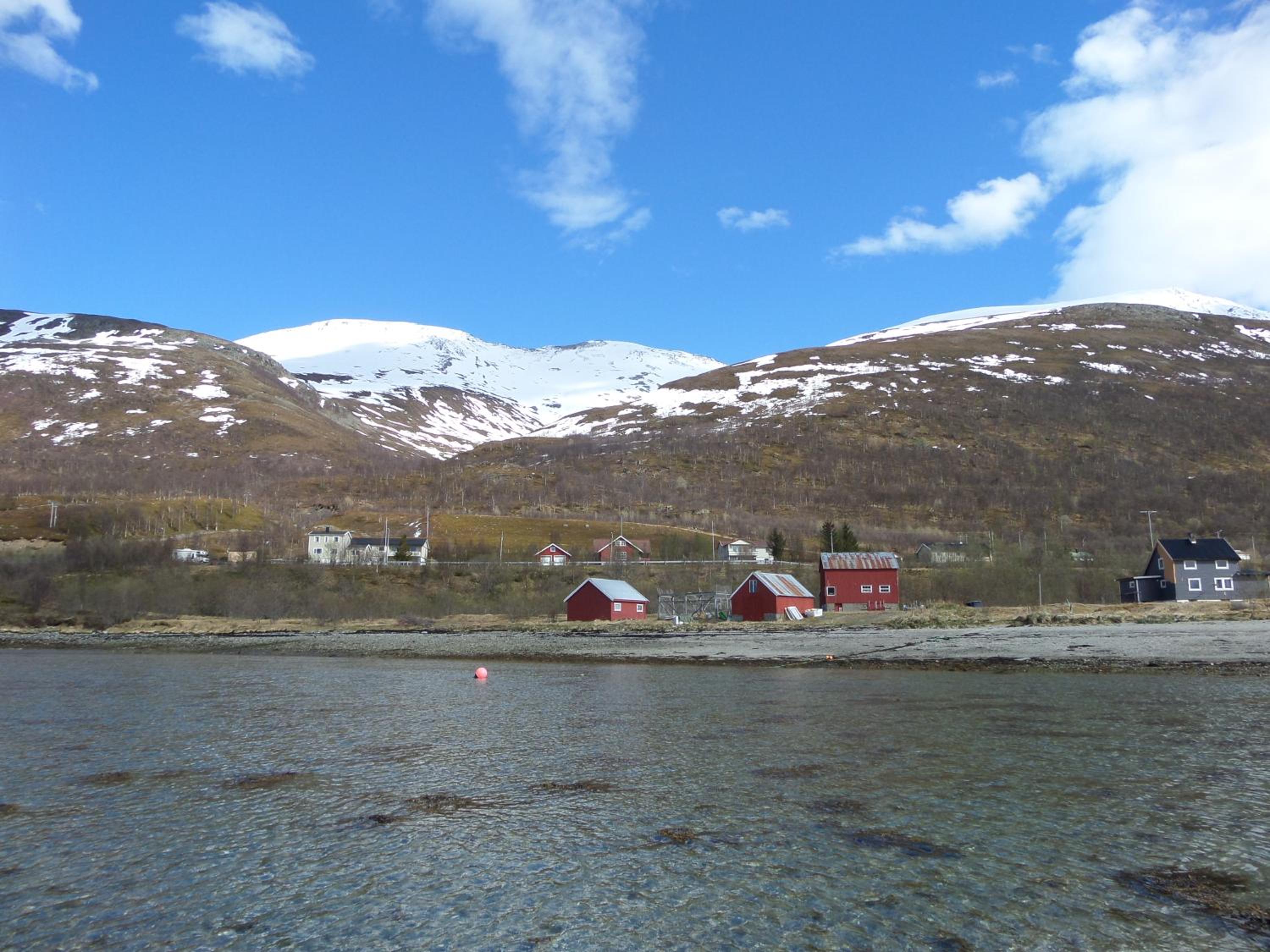 Photo 49