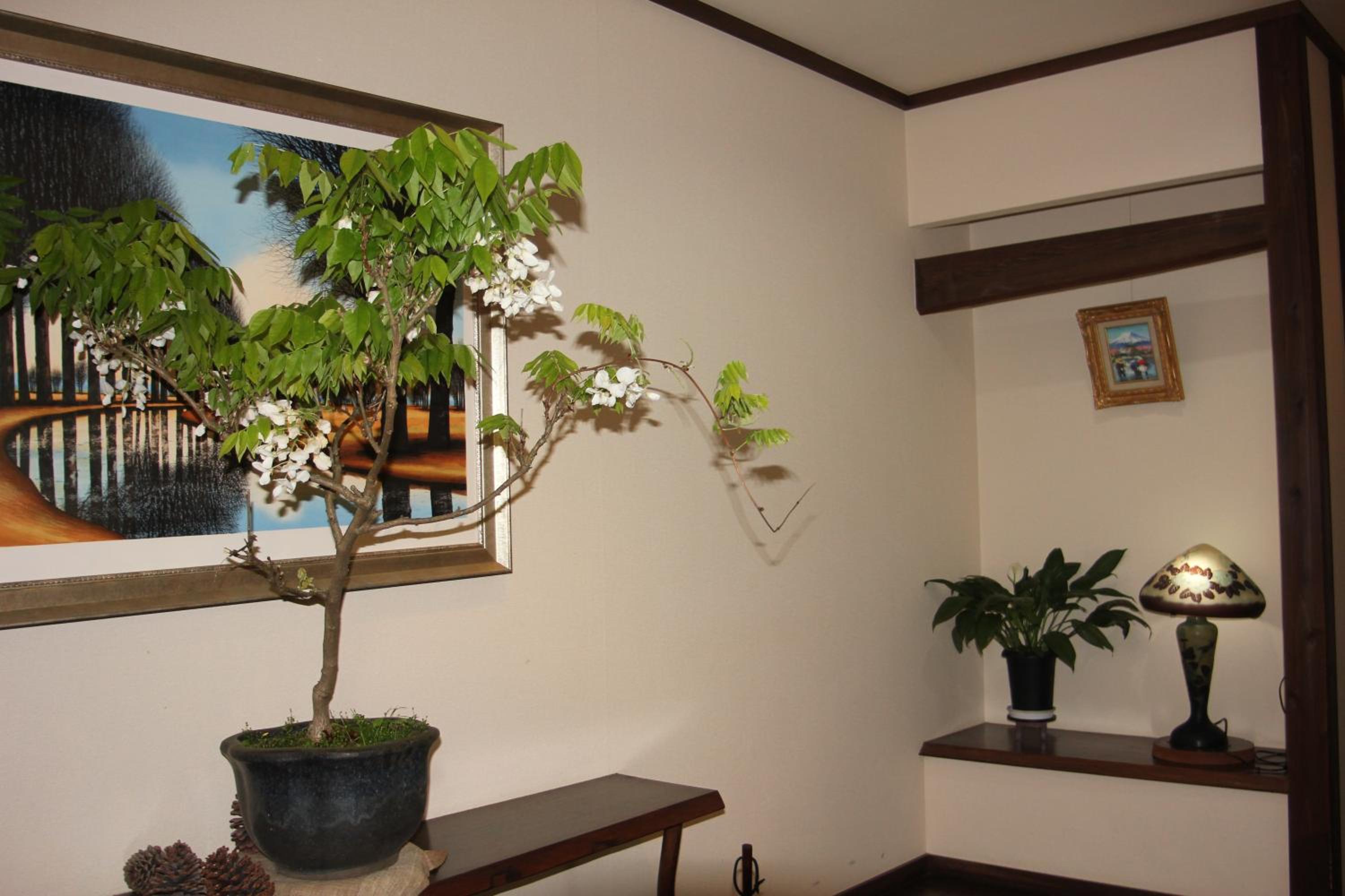 Photo 42