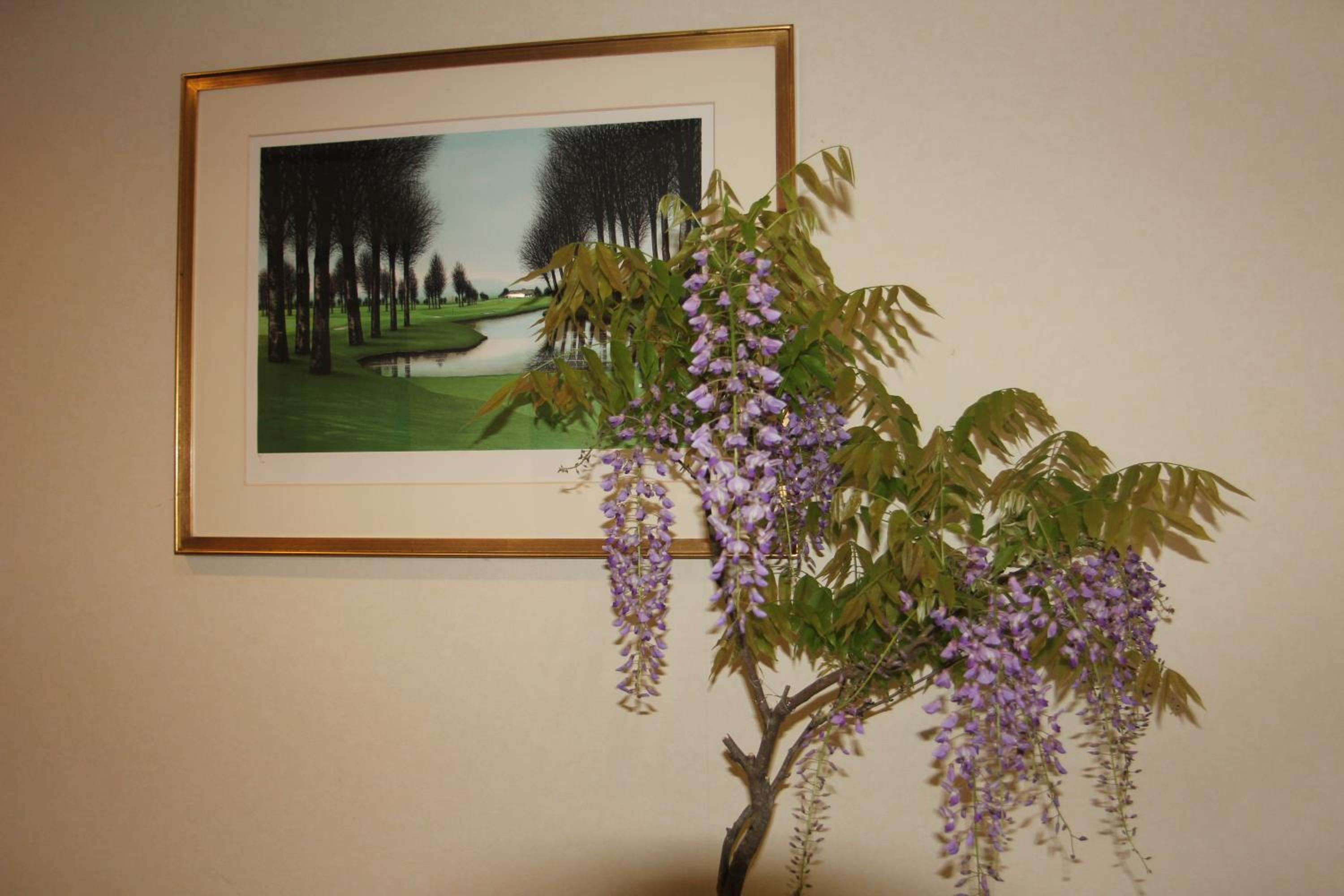 Photo 36