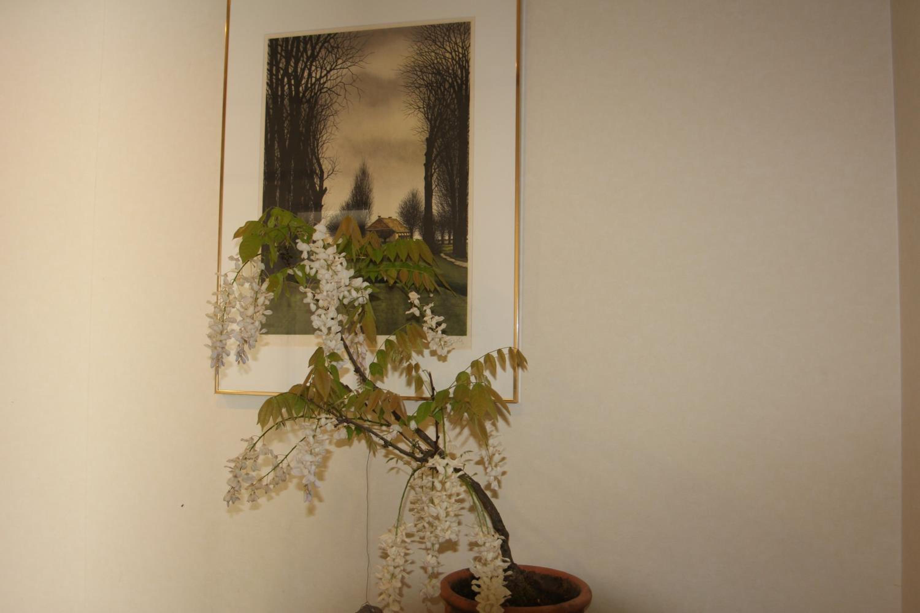 Photo 40