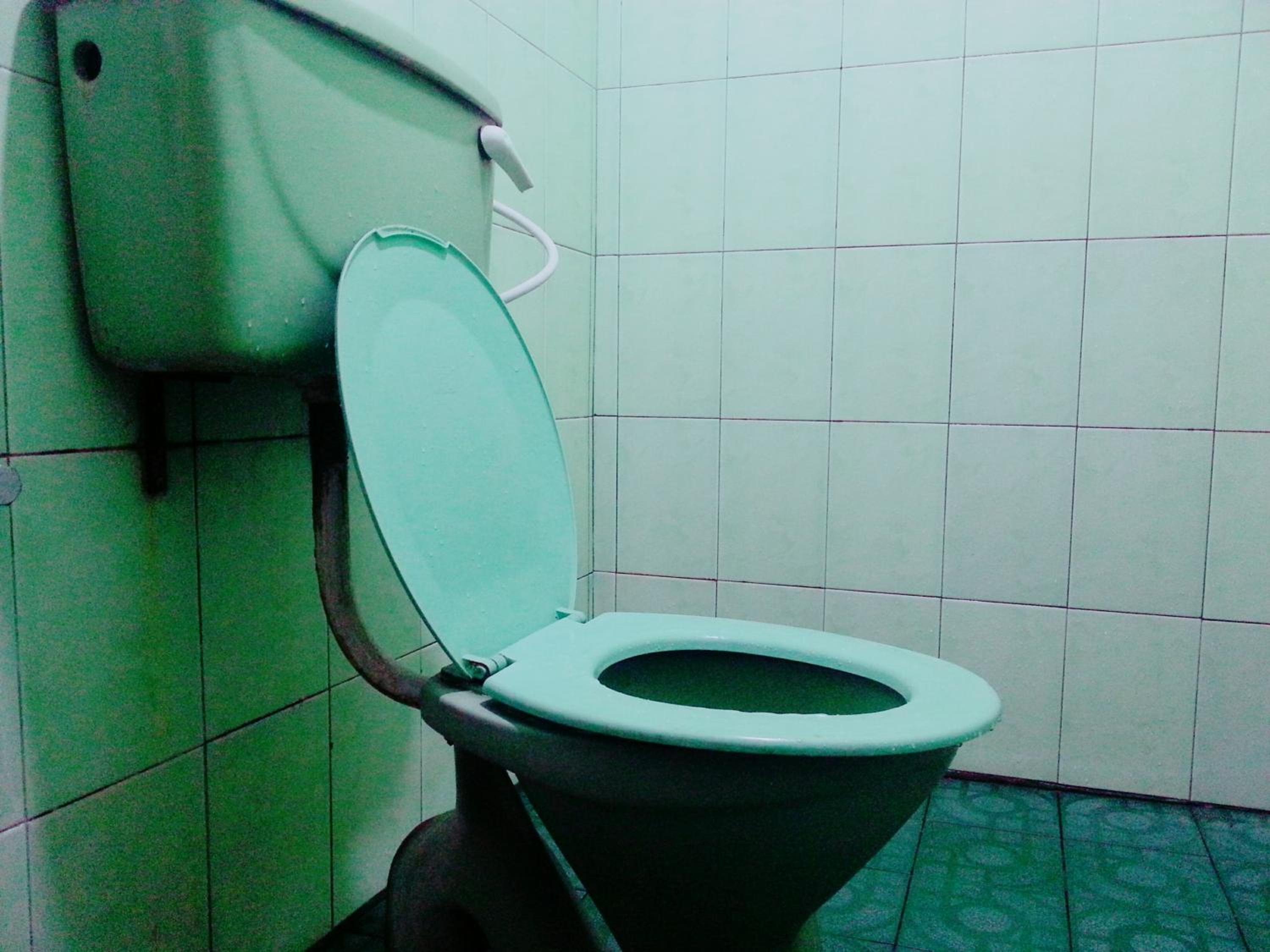 Photo 35