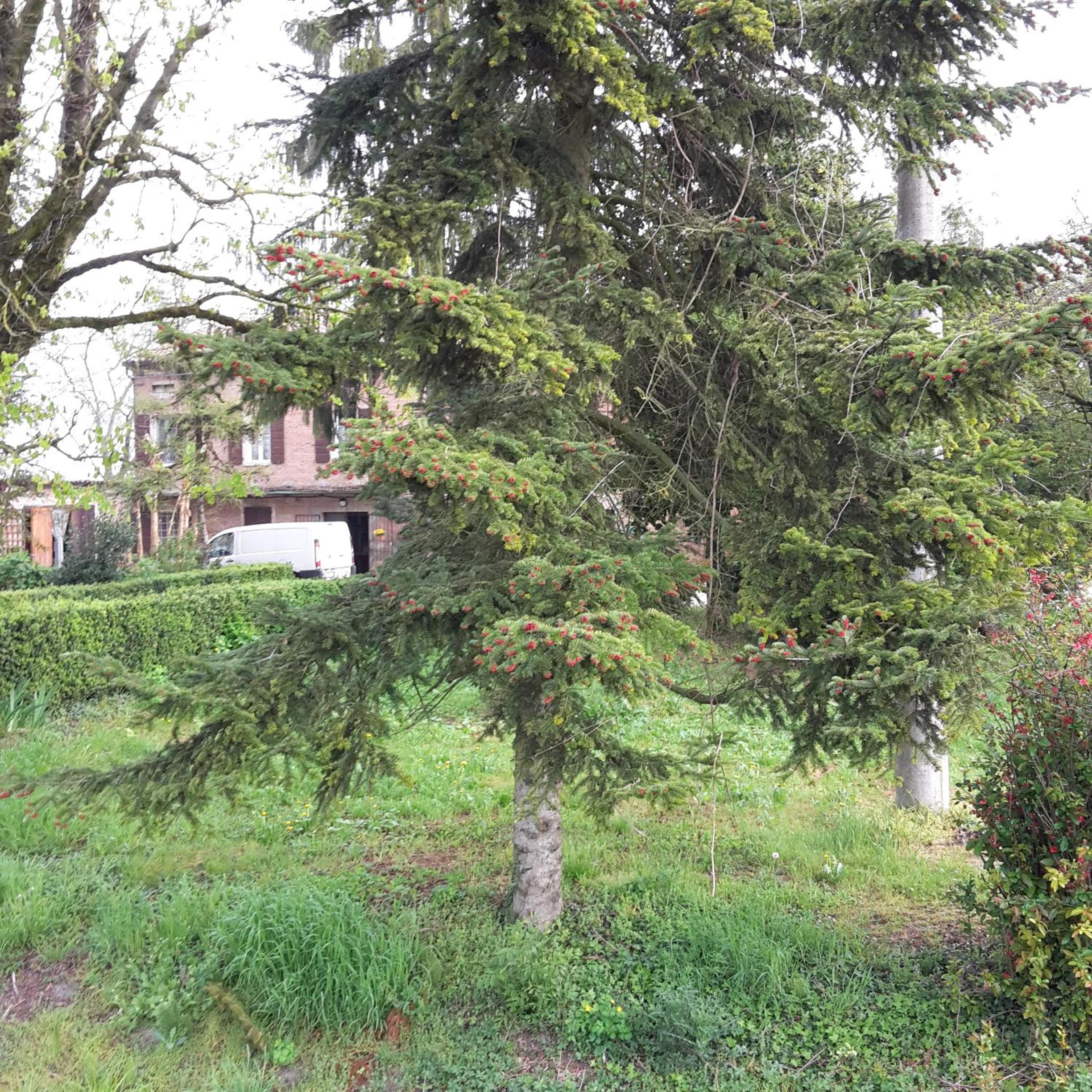 Agriturismo Dosso al Porto