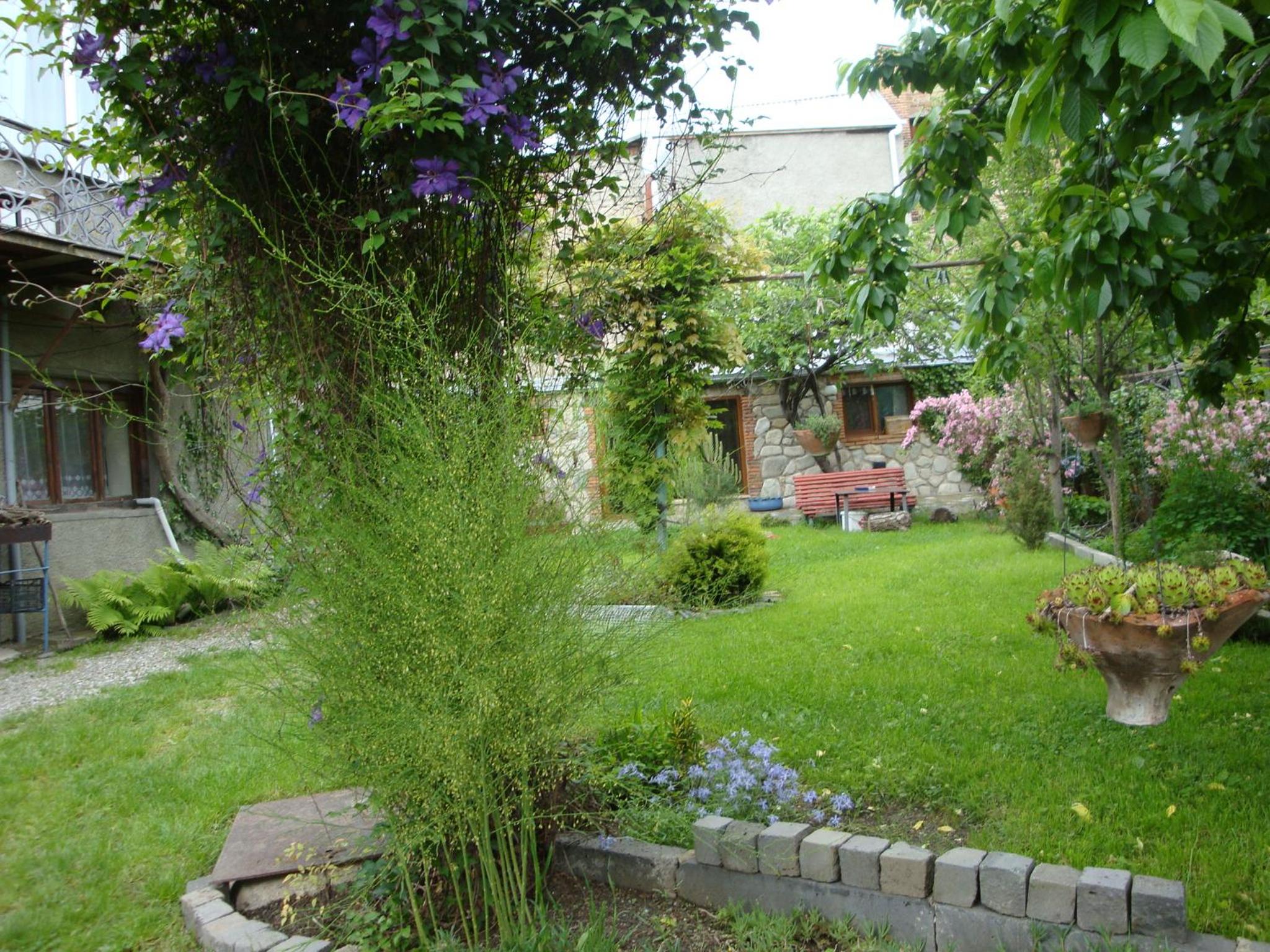 Photo 45