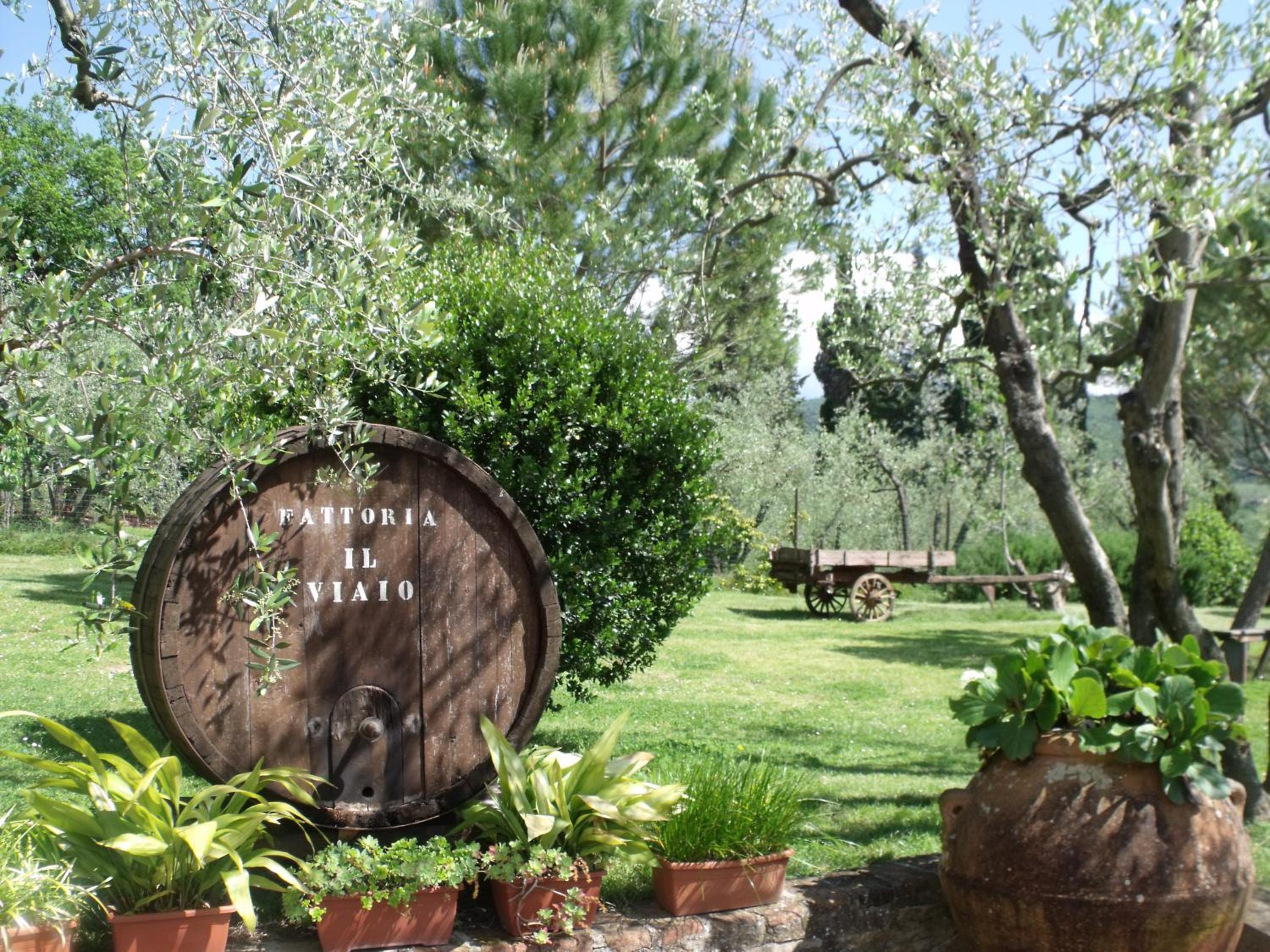 Agriturismo IL VIAIO