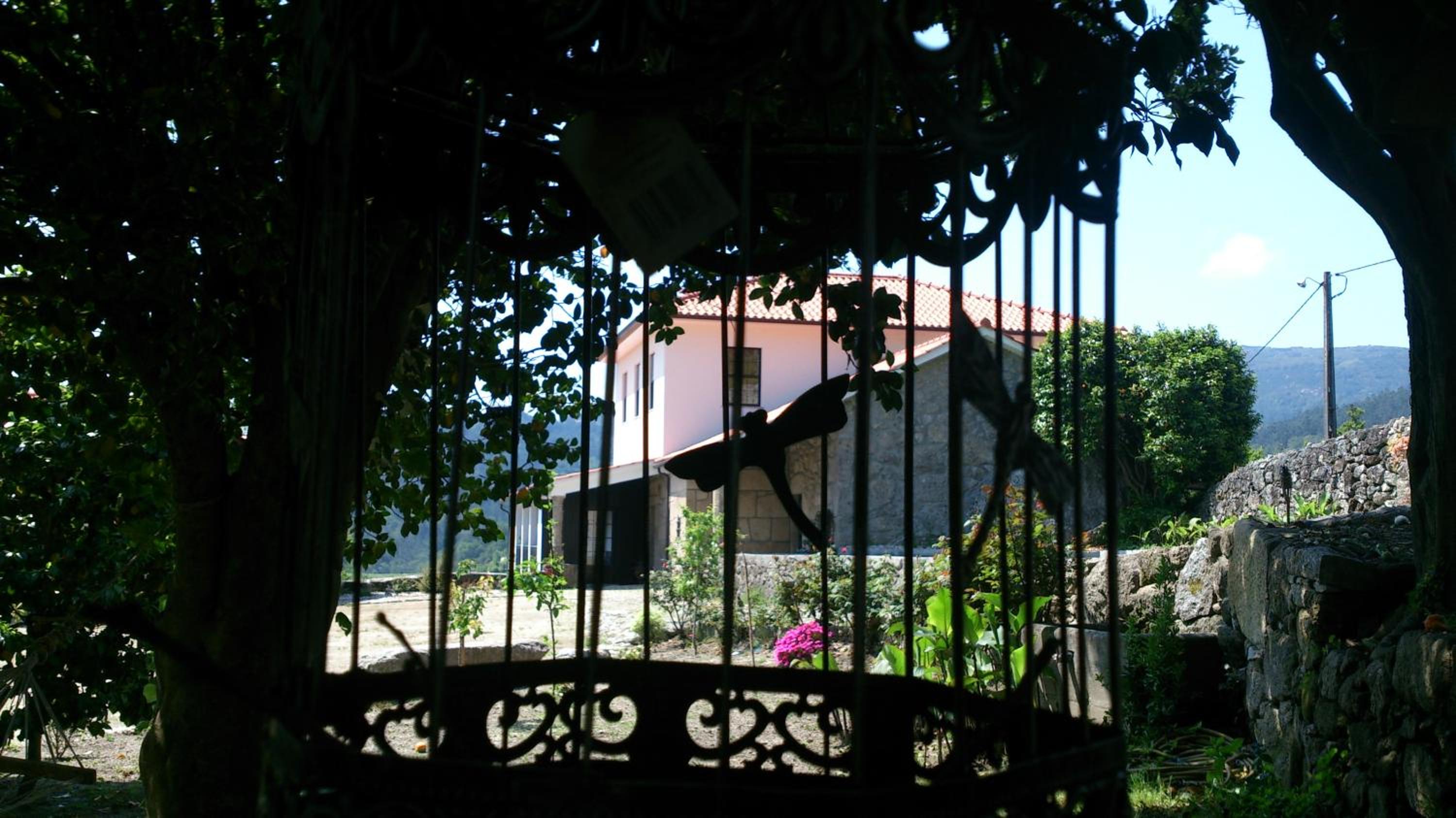 Photo 24