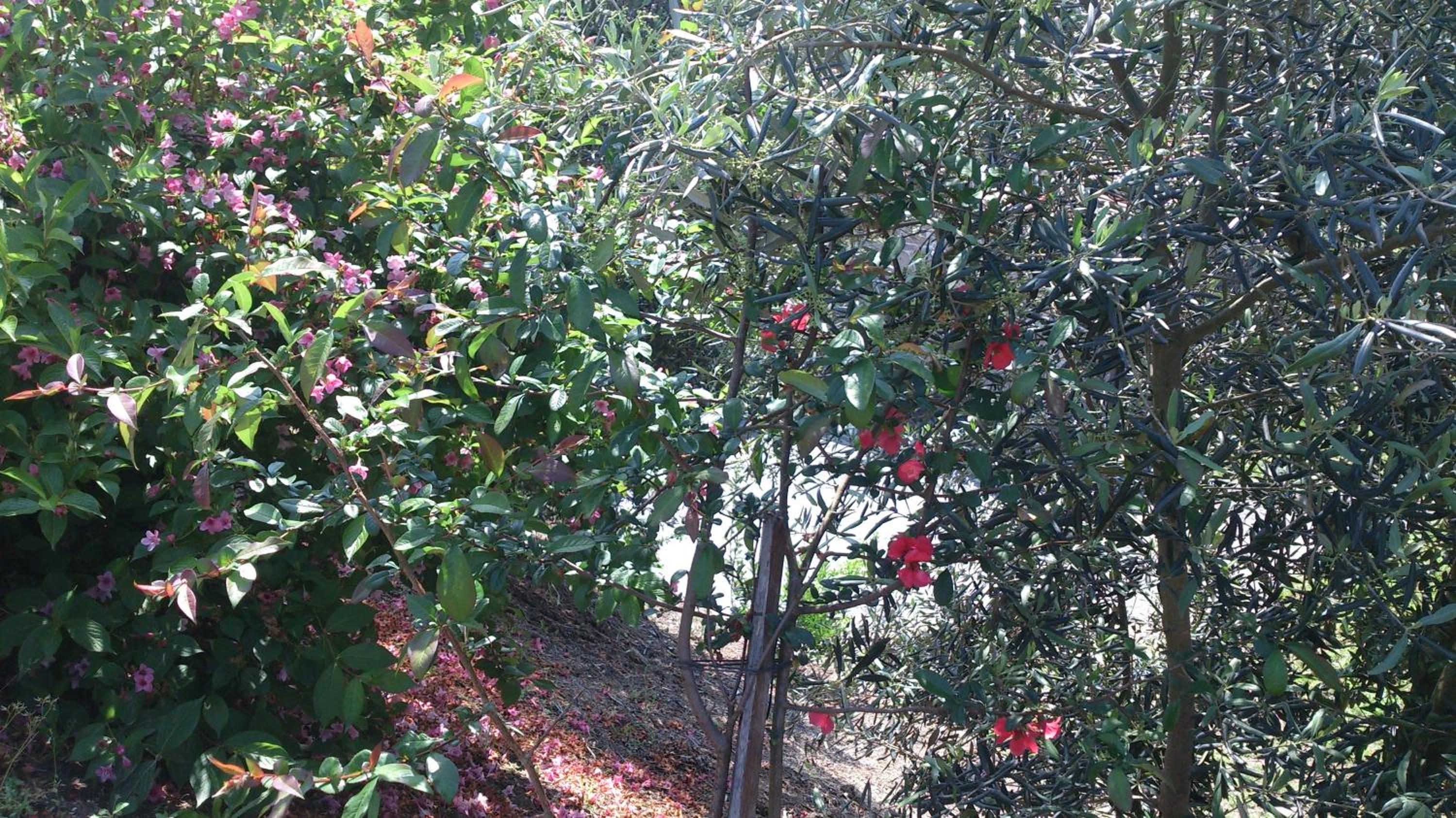Photo 28