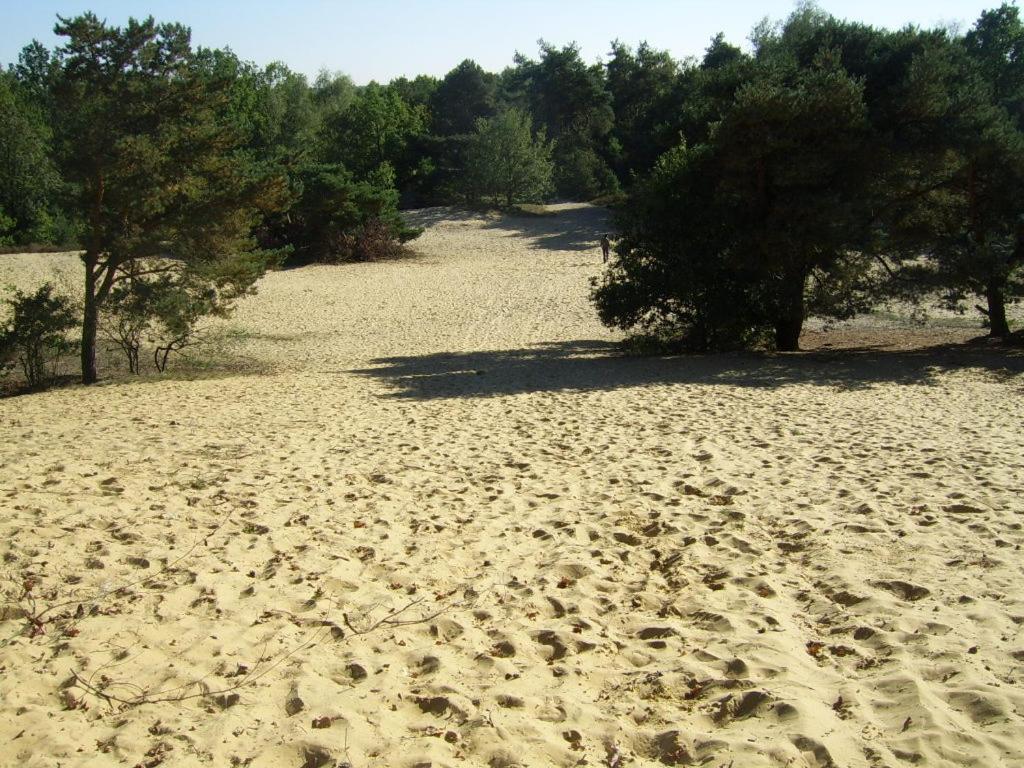 Bosbeekvallei