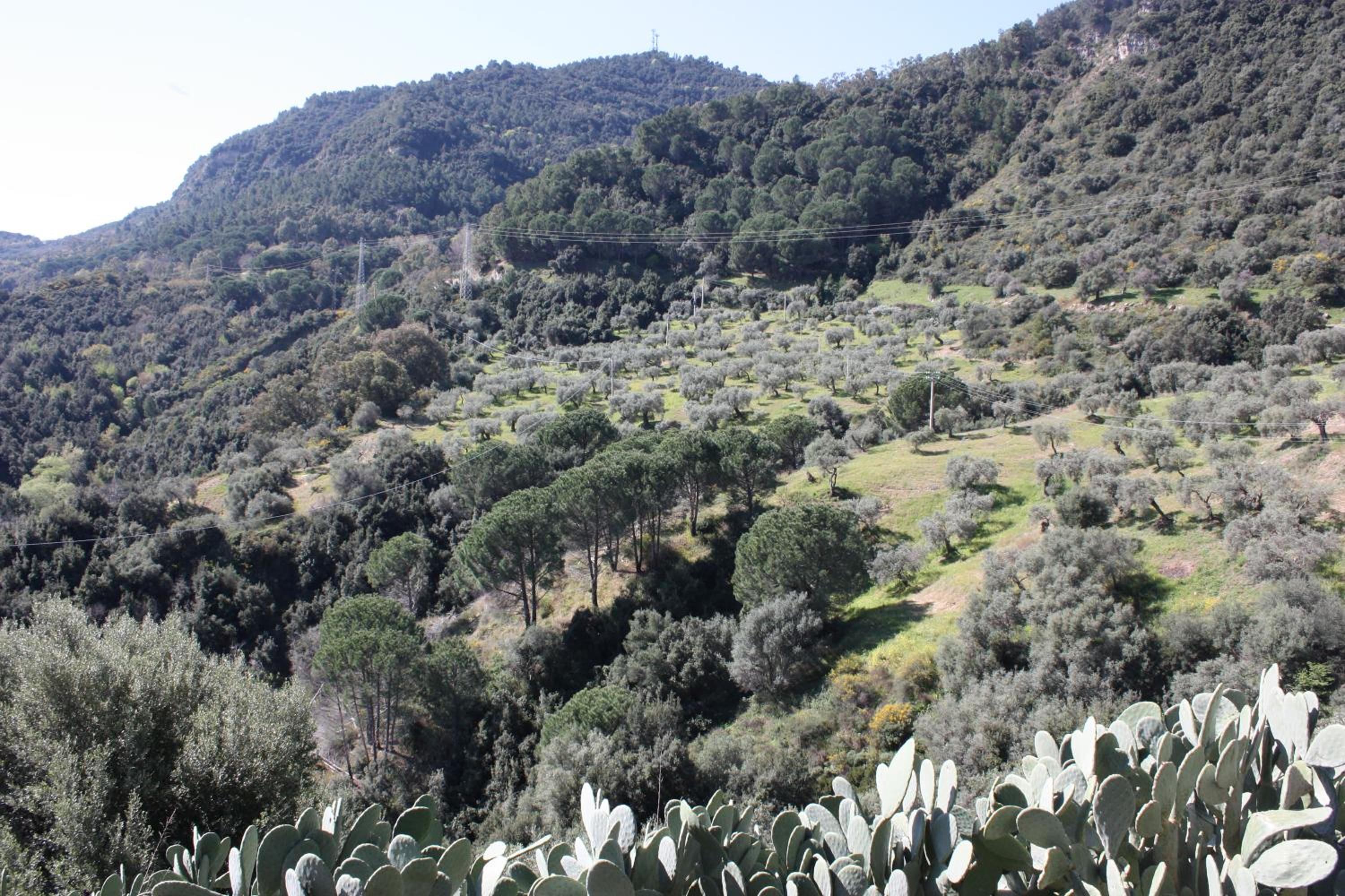 Azienda Agrituristica Le Puzelle