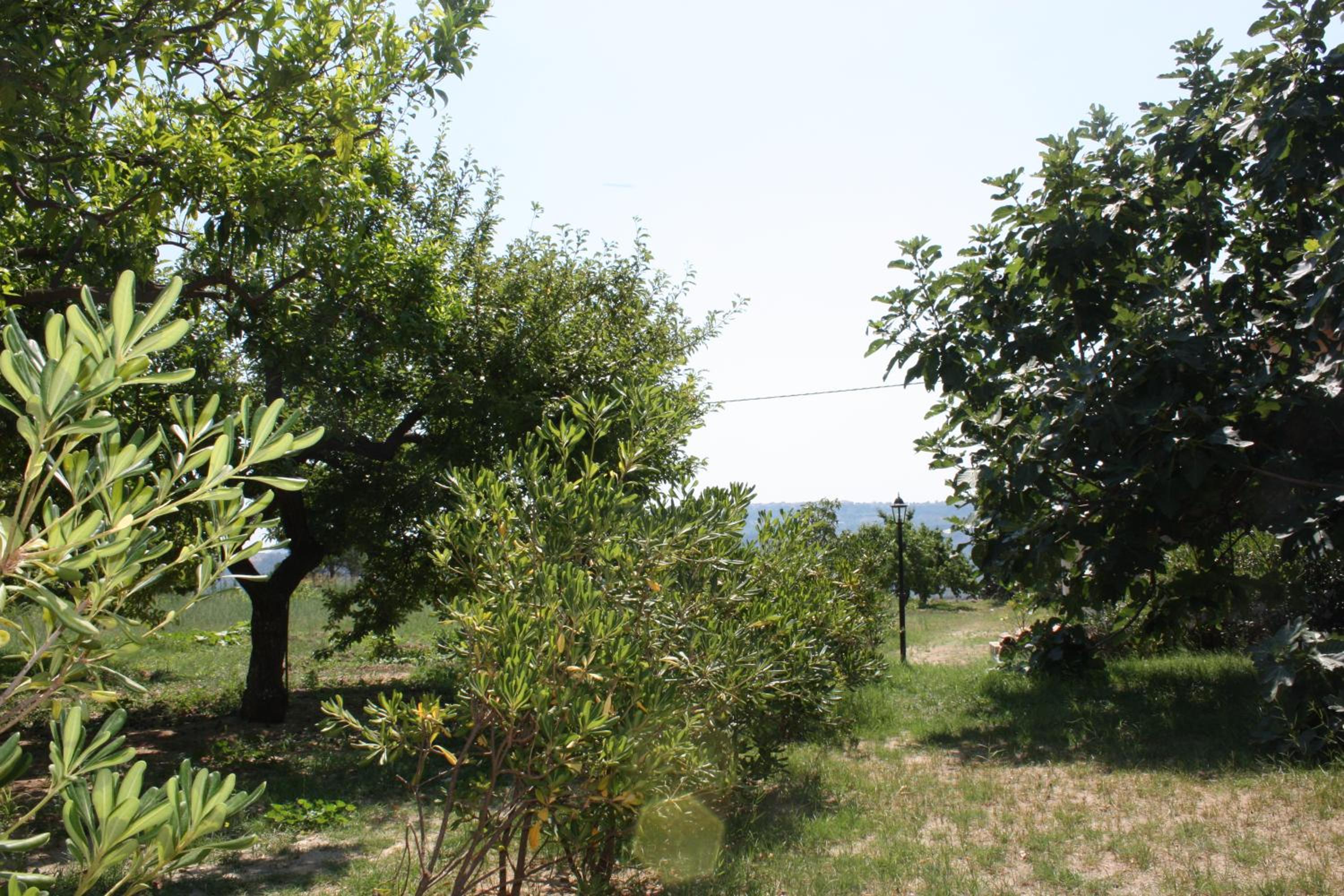 Azienda Agrituristica Le Puzelle