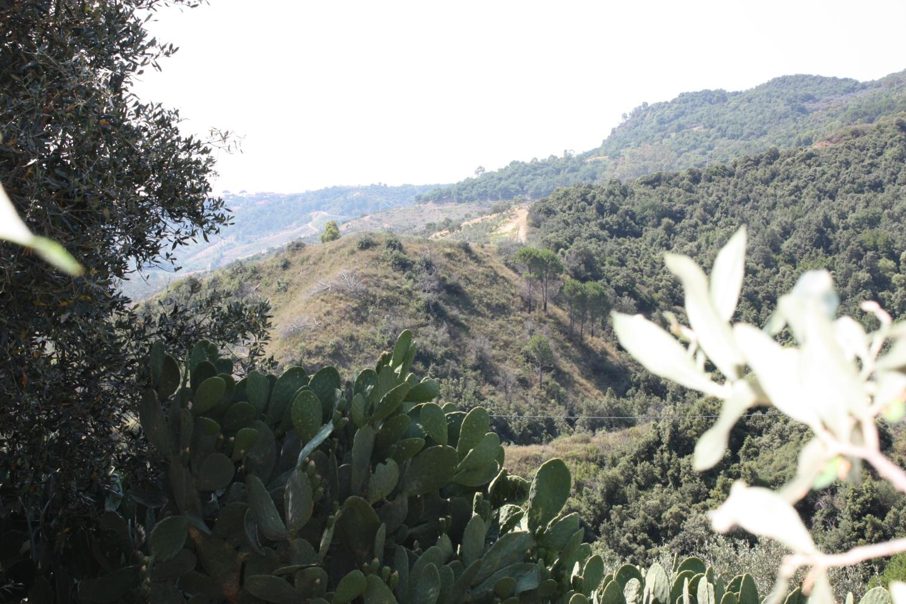 Azienda Agrituristica Le Puzelle